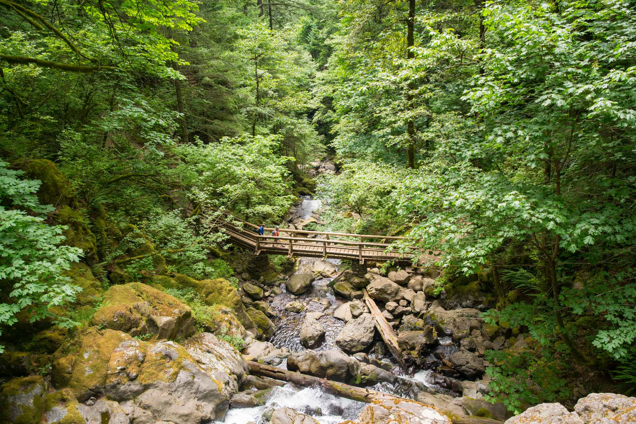 Hamilton Mountain
