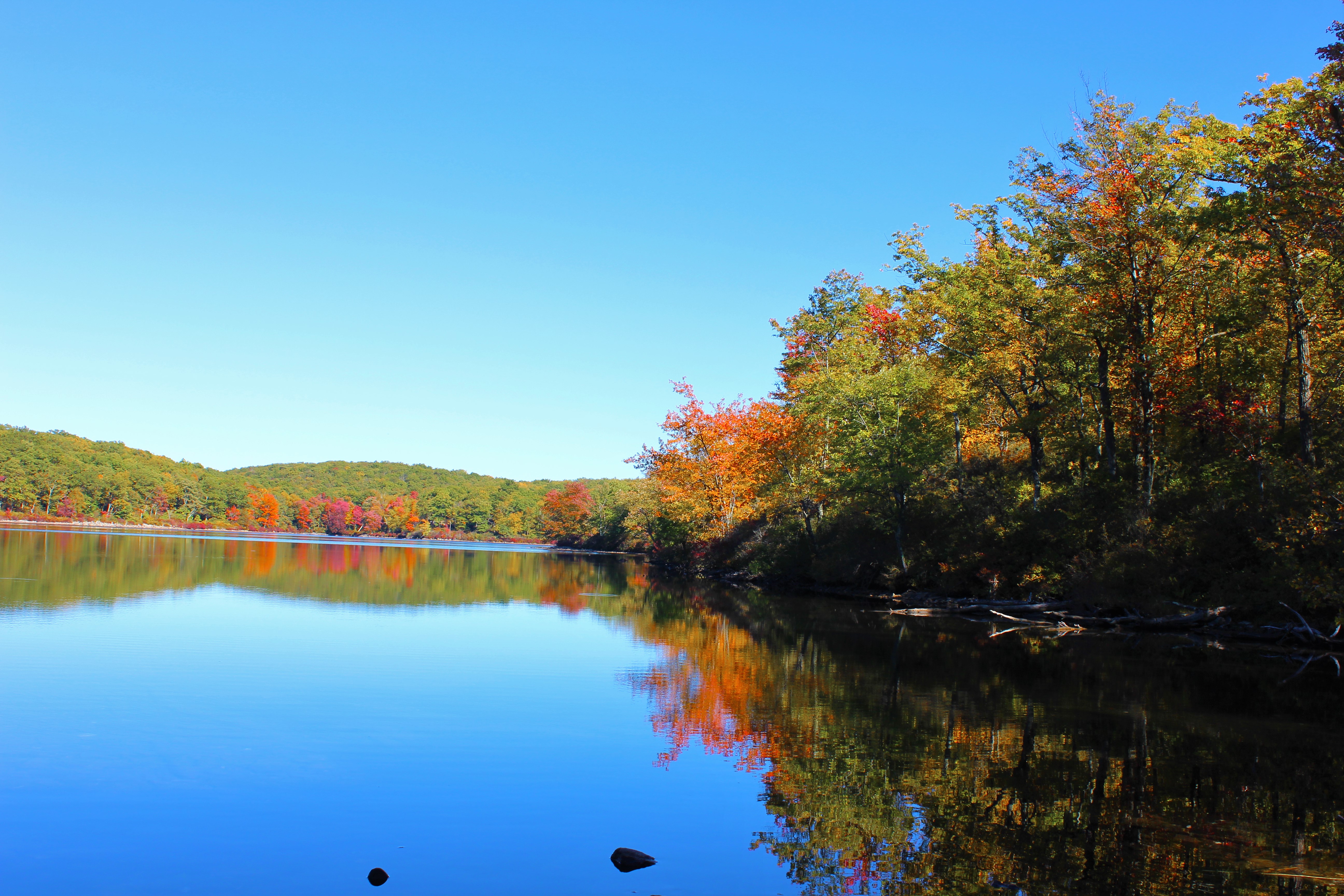 Hike to Sunfish Pond