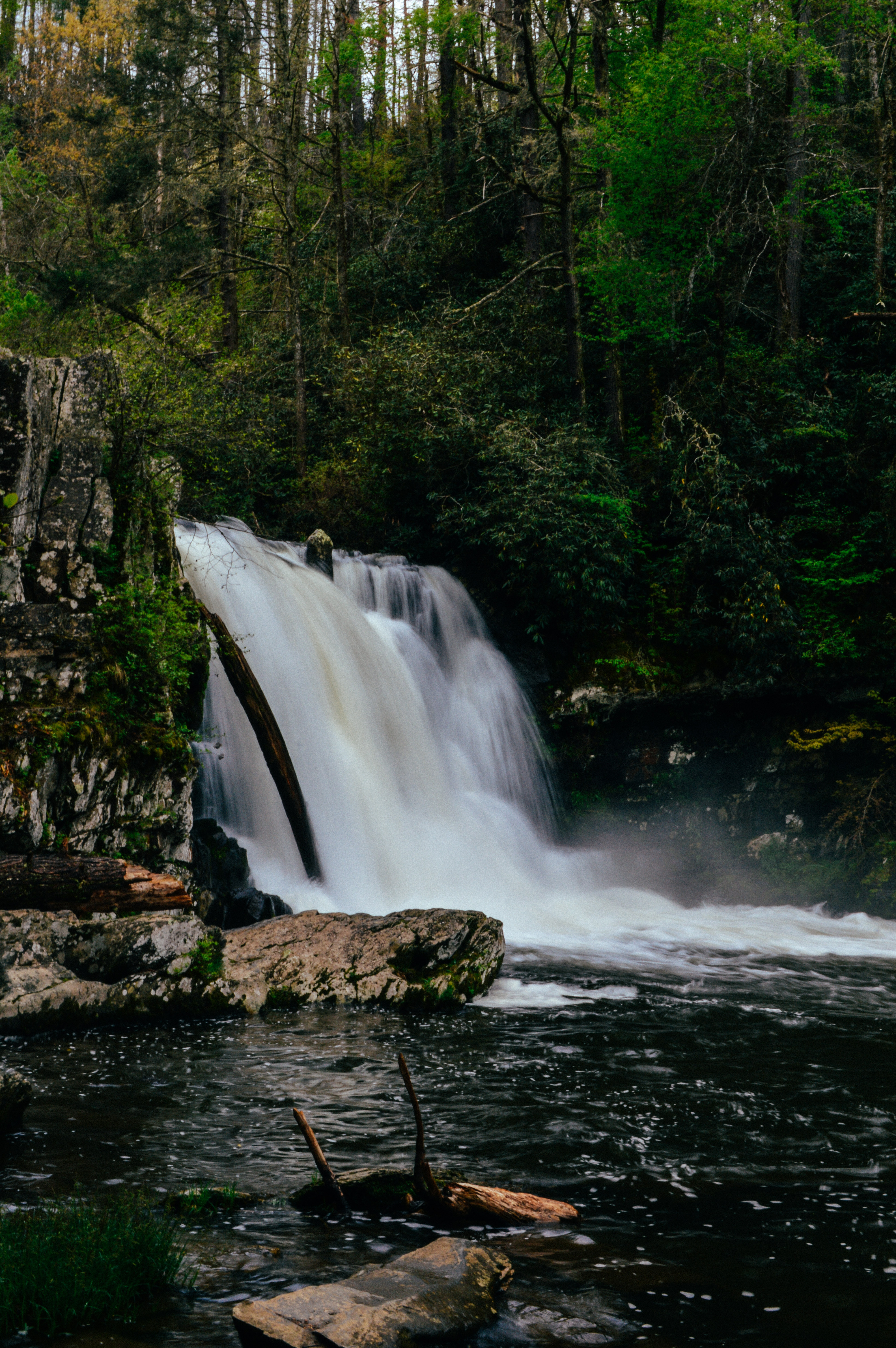 Abrams Falls Trail
