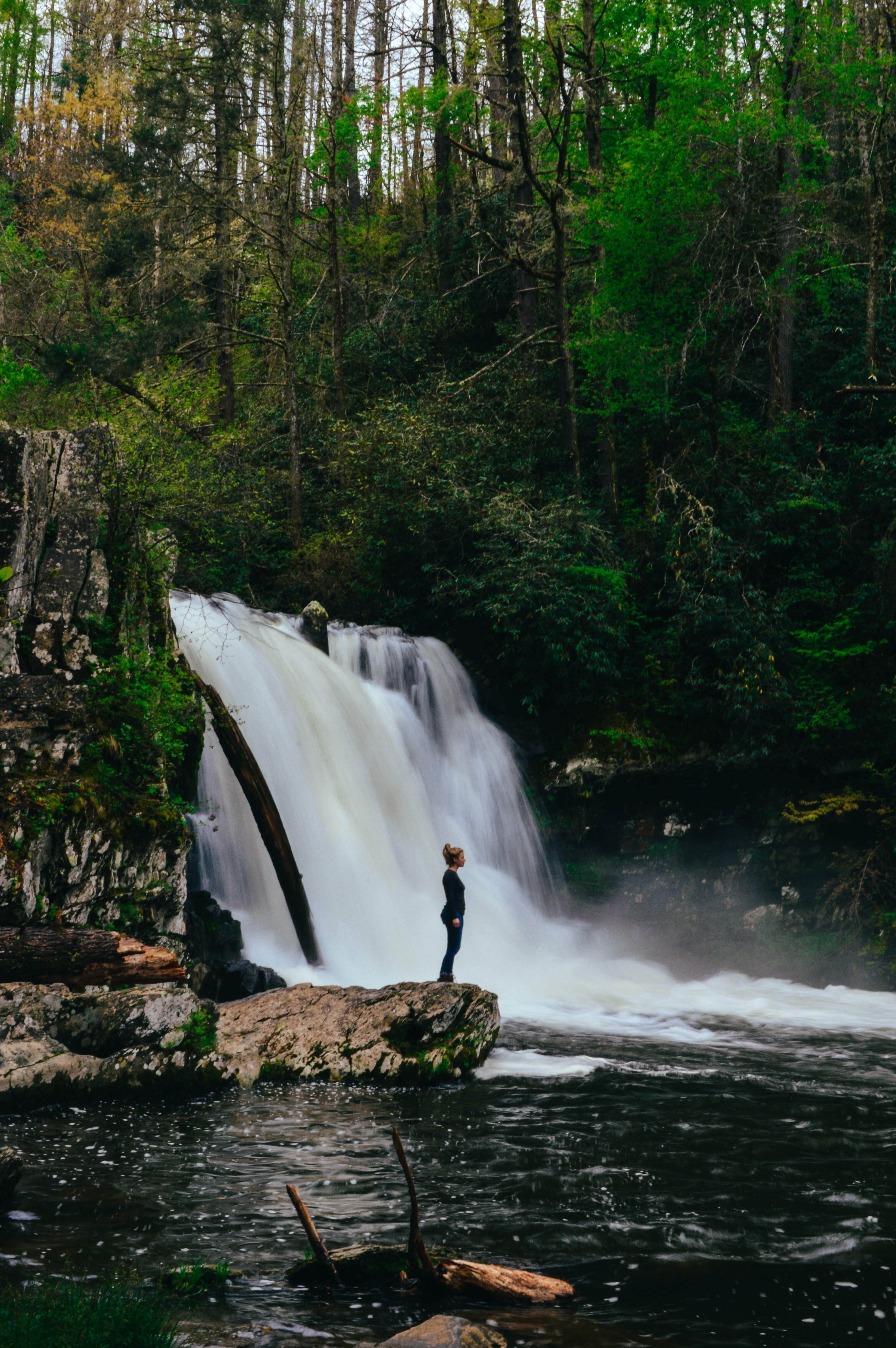 Abrams Falls Trail