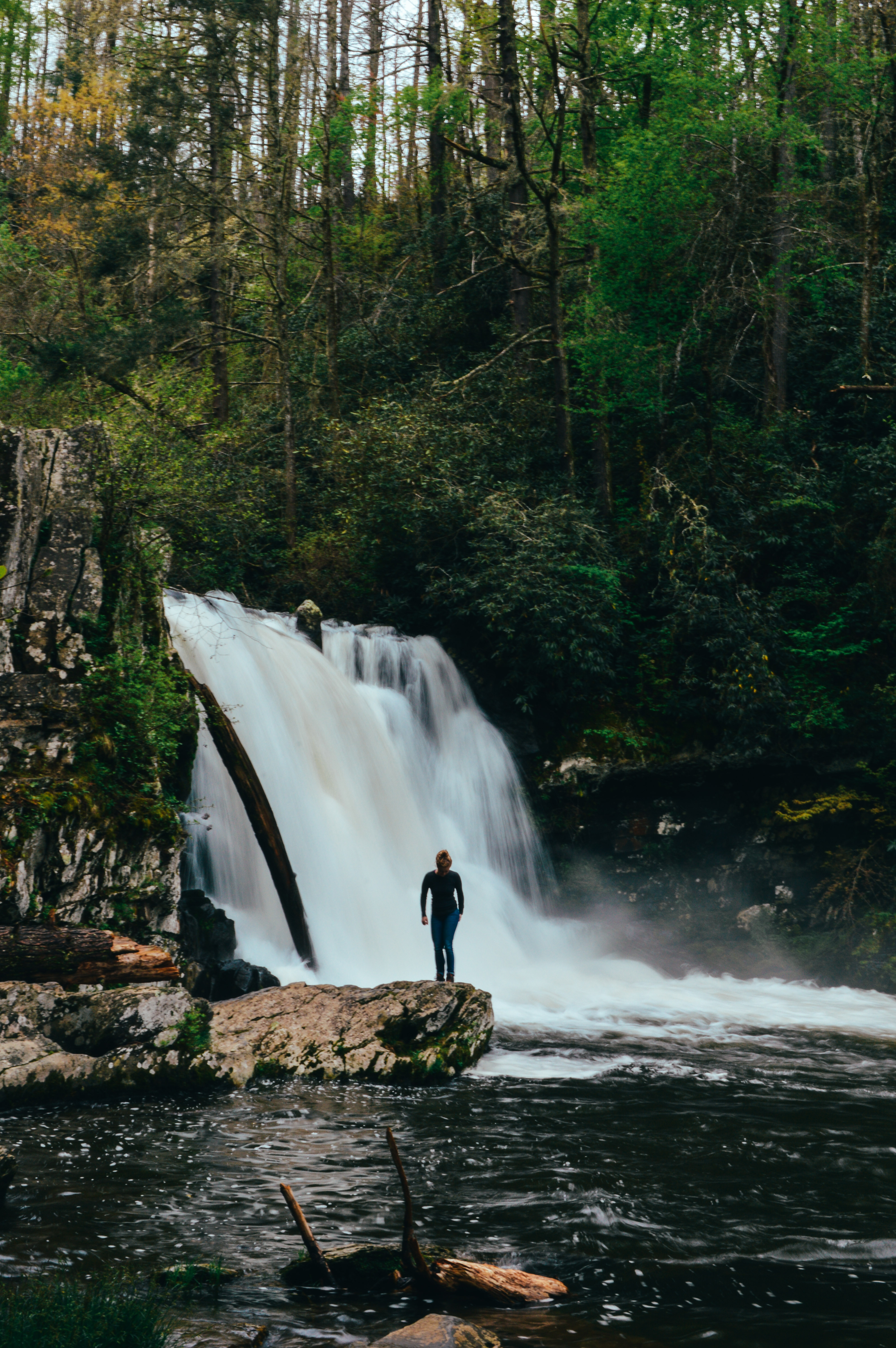 Abrams Falls Trail