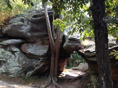 Backpack the Garden of the Gods Wilderness in Shawnee National Forest