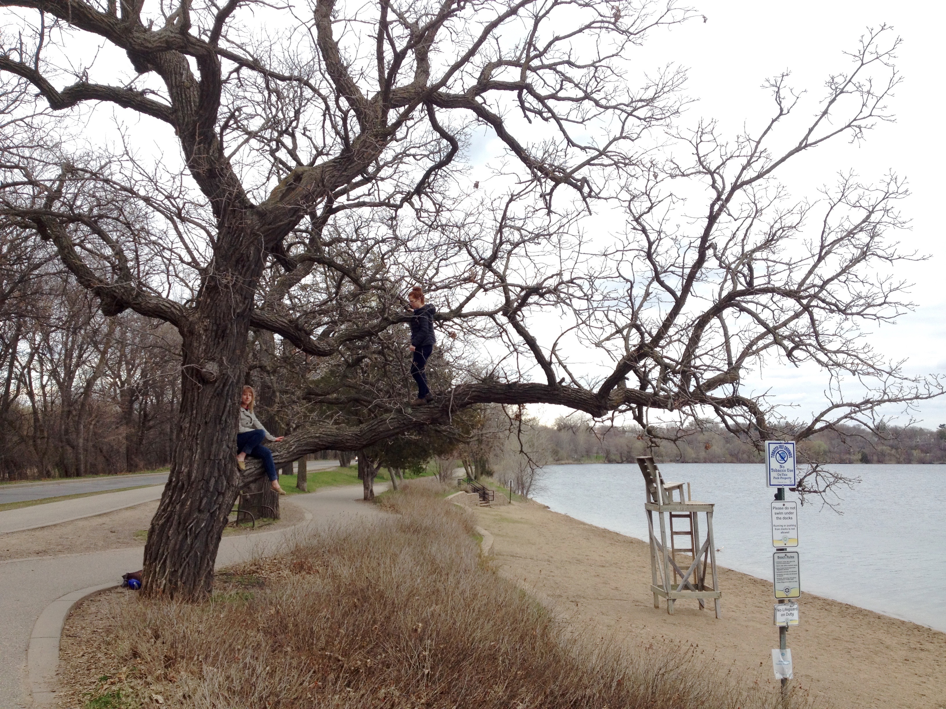 Run the Lake Harriet Loop