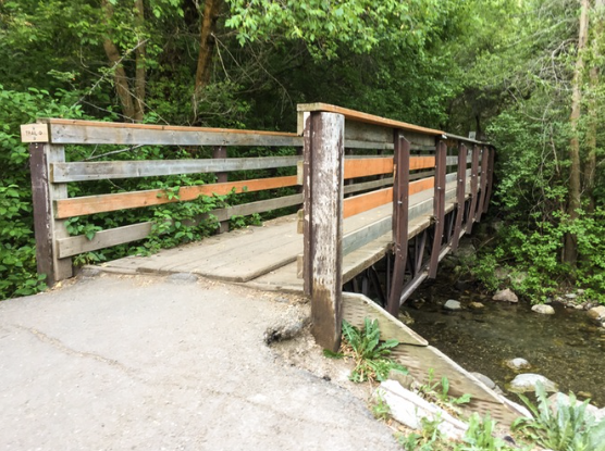 Trail Run to Elephant Rock