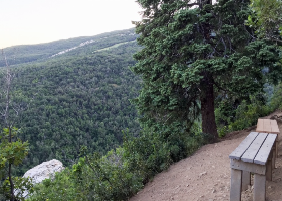 Trail Run to Elephant Rock