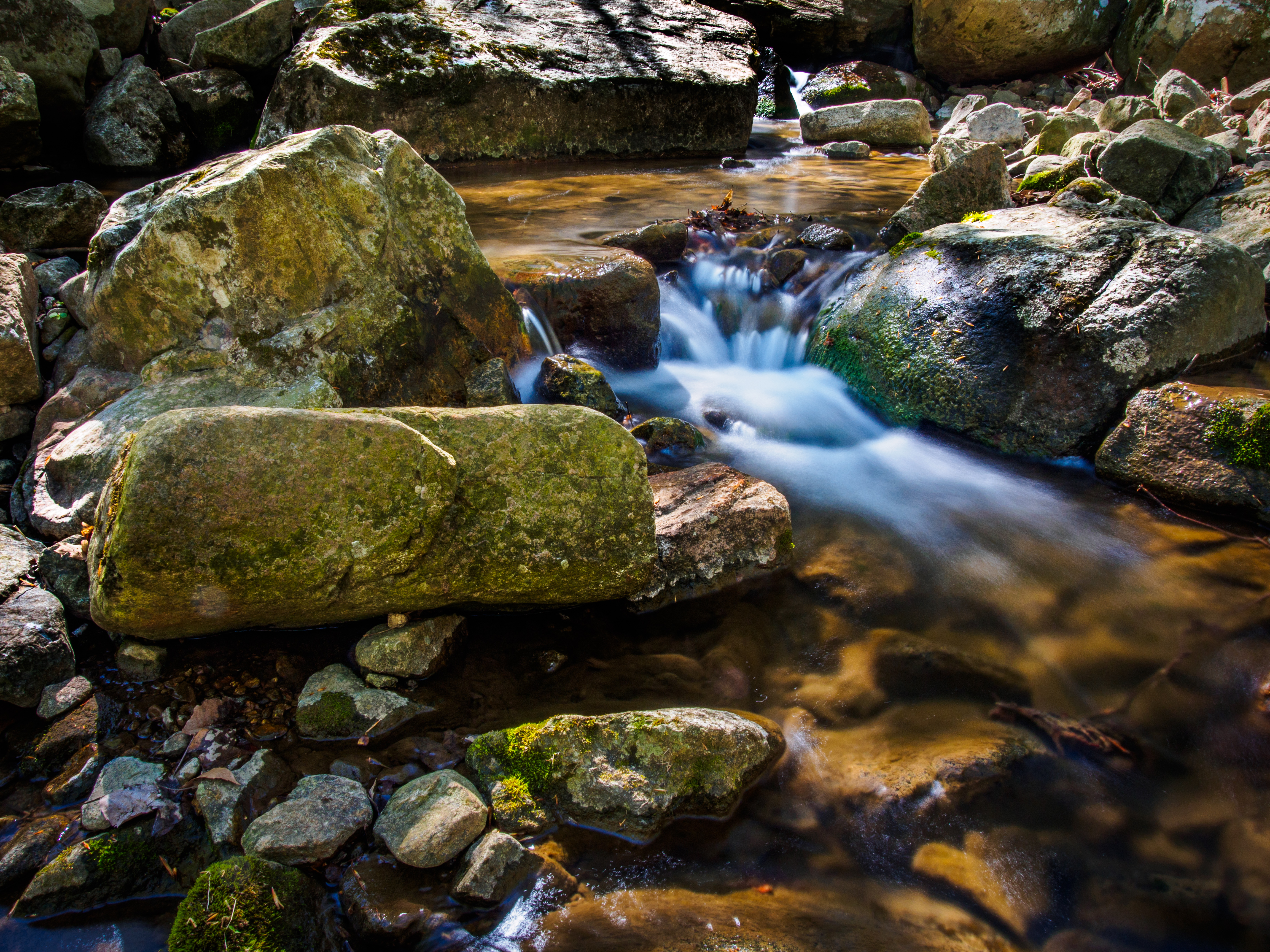 Hiking in Musconetcong Gorge Preserve