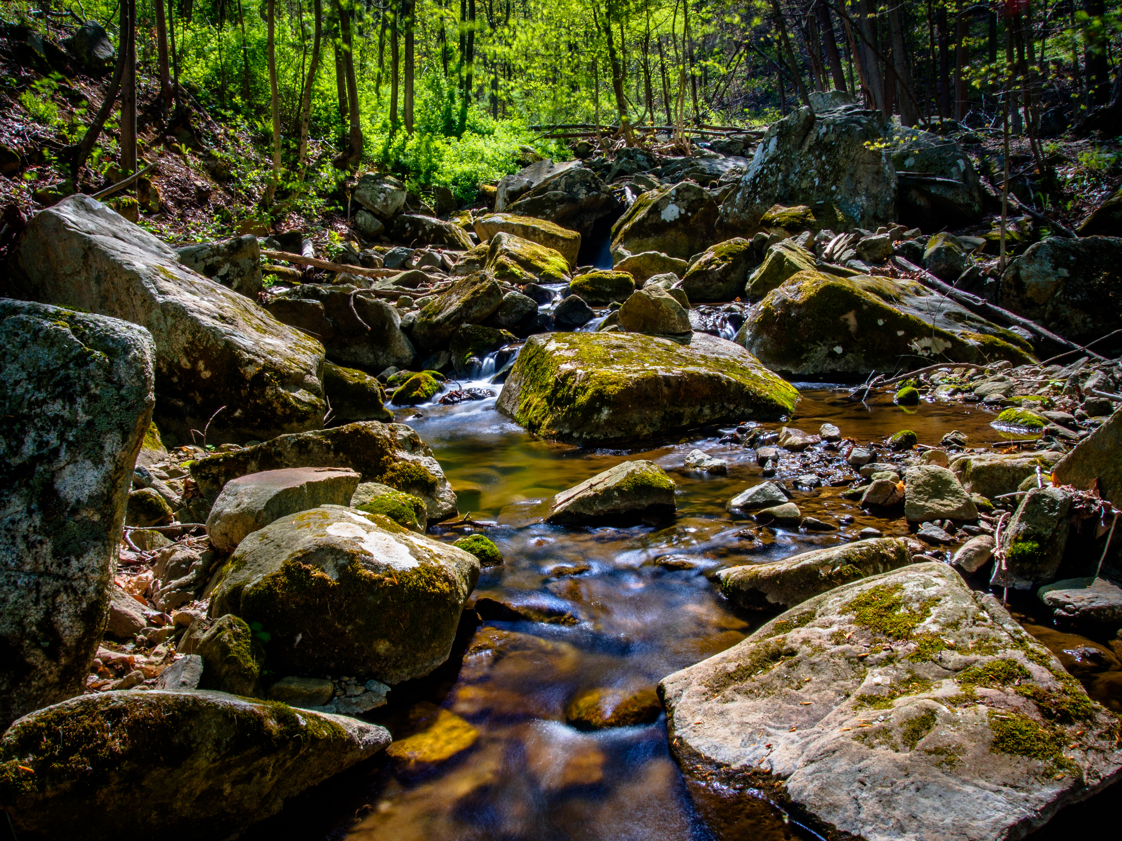 Hiking in Musconetcong Gorge Preserve