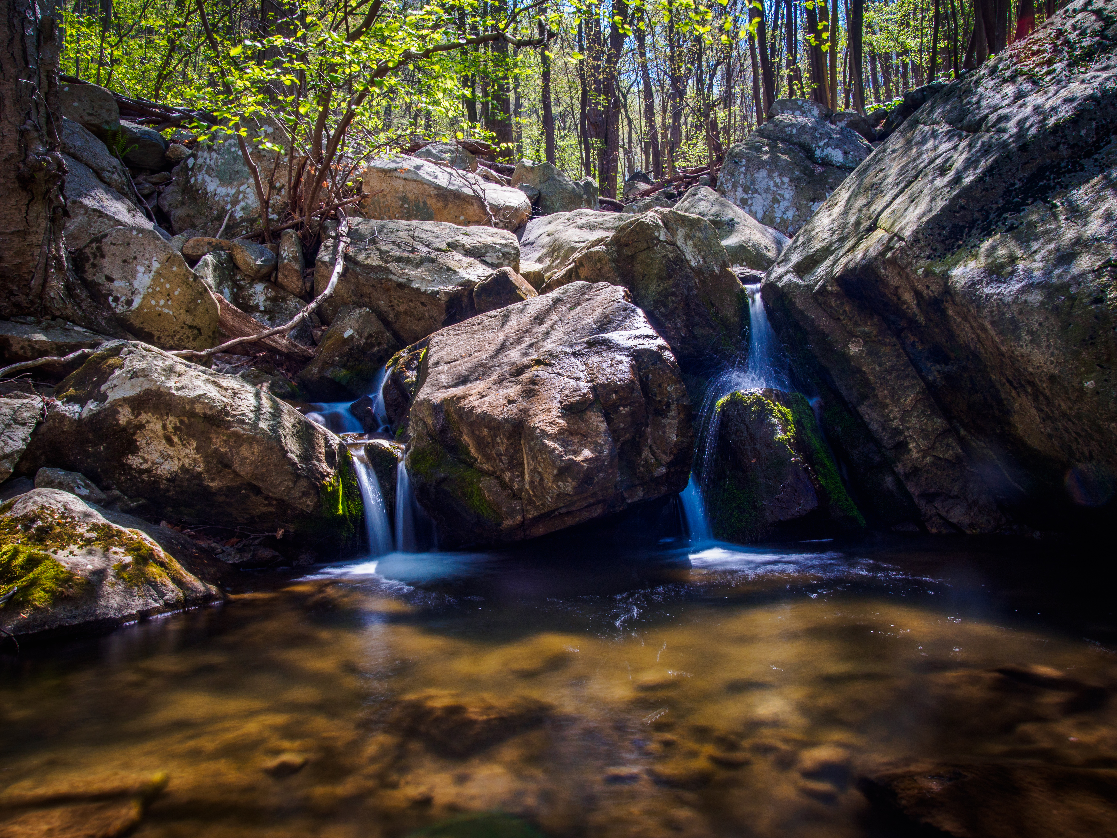Hiking in Musconetcong Gorge Preserve