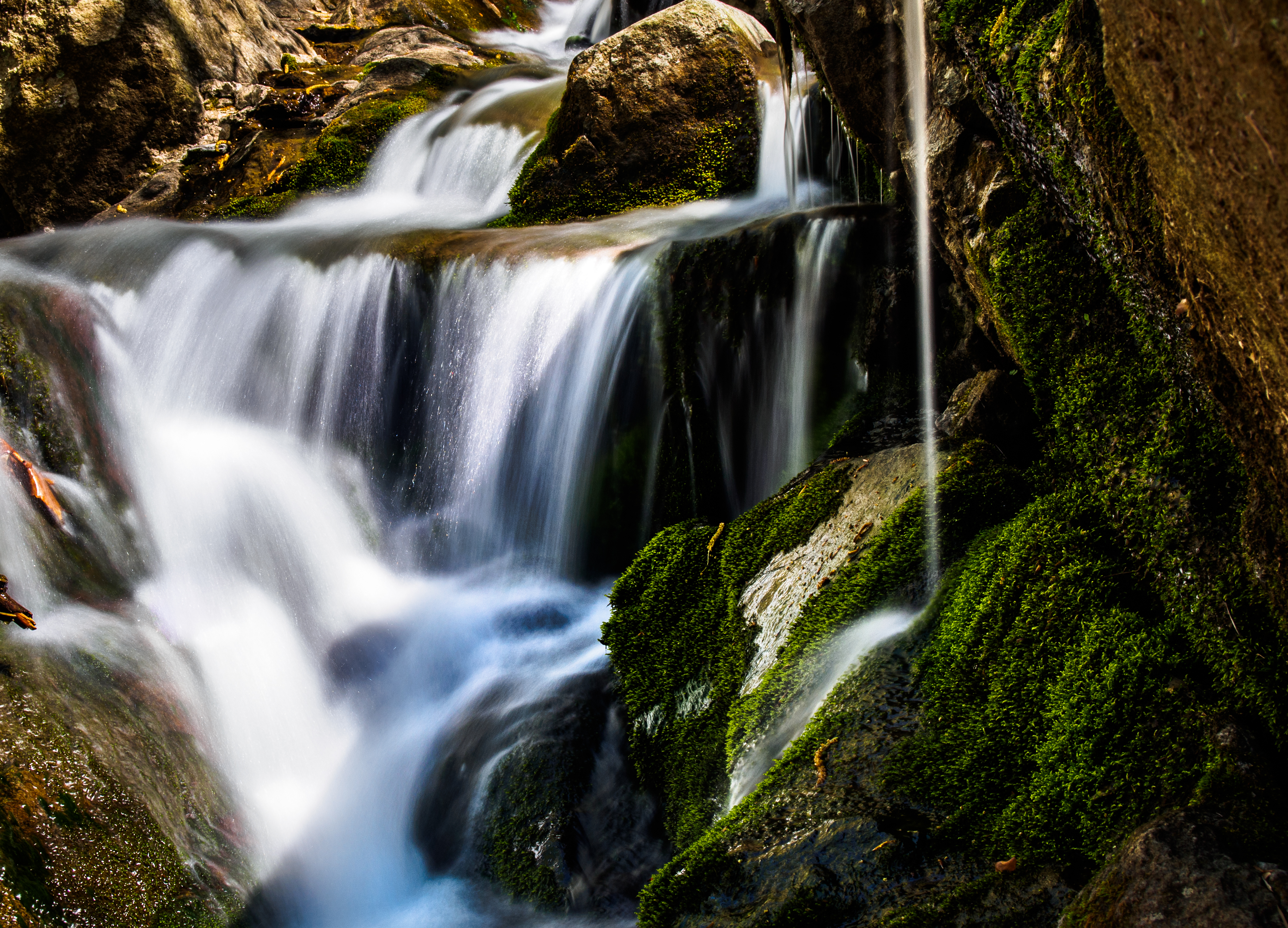Hiking in Musconetcong Gorge Preserve