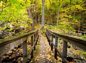 Hiking in Musconetcong Gorge Preserve