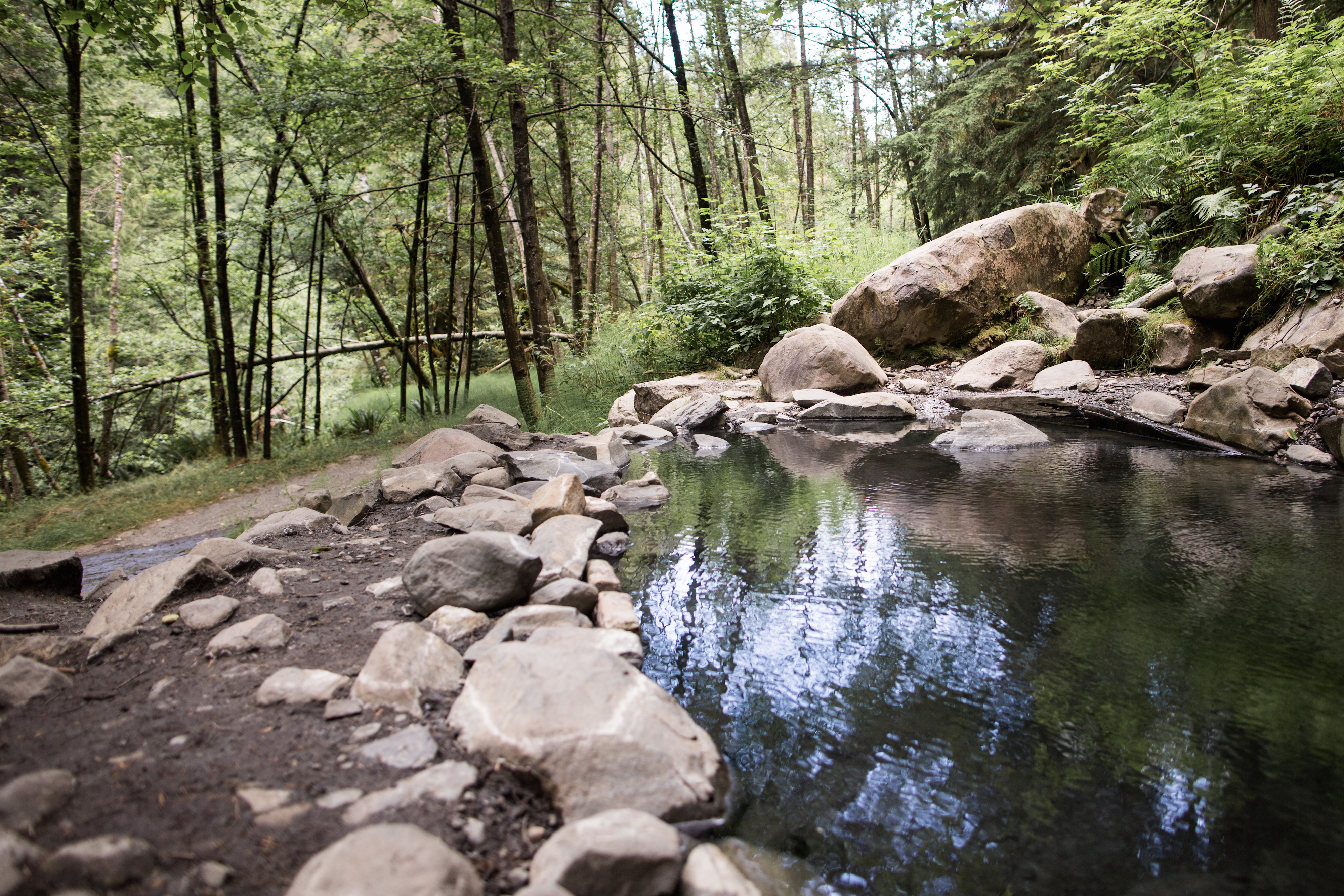 Olympic Hot Springs