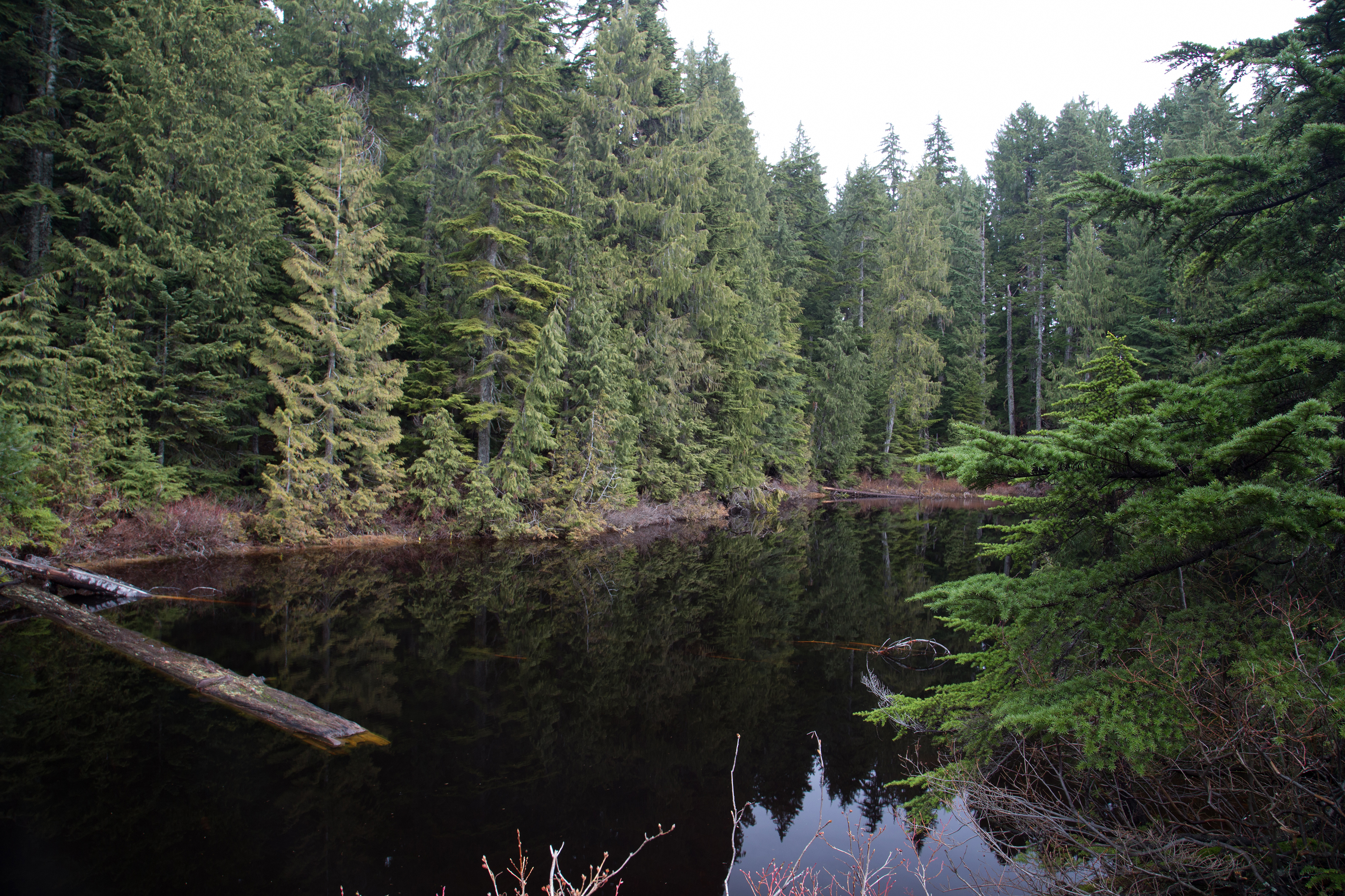 Hike Up Brothers Creek Loop