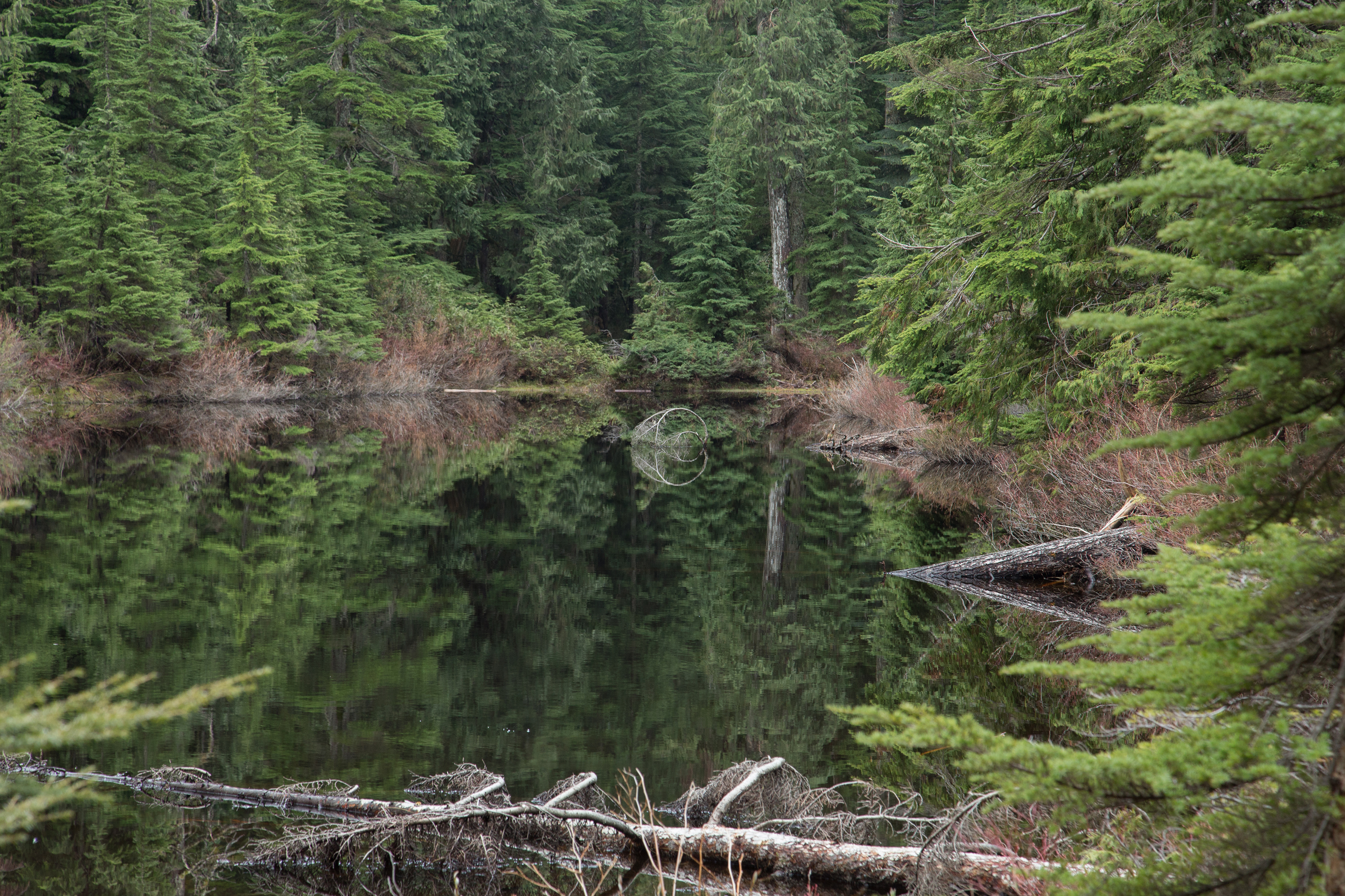 Hike Up Brothers Creek Loop