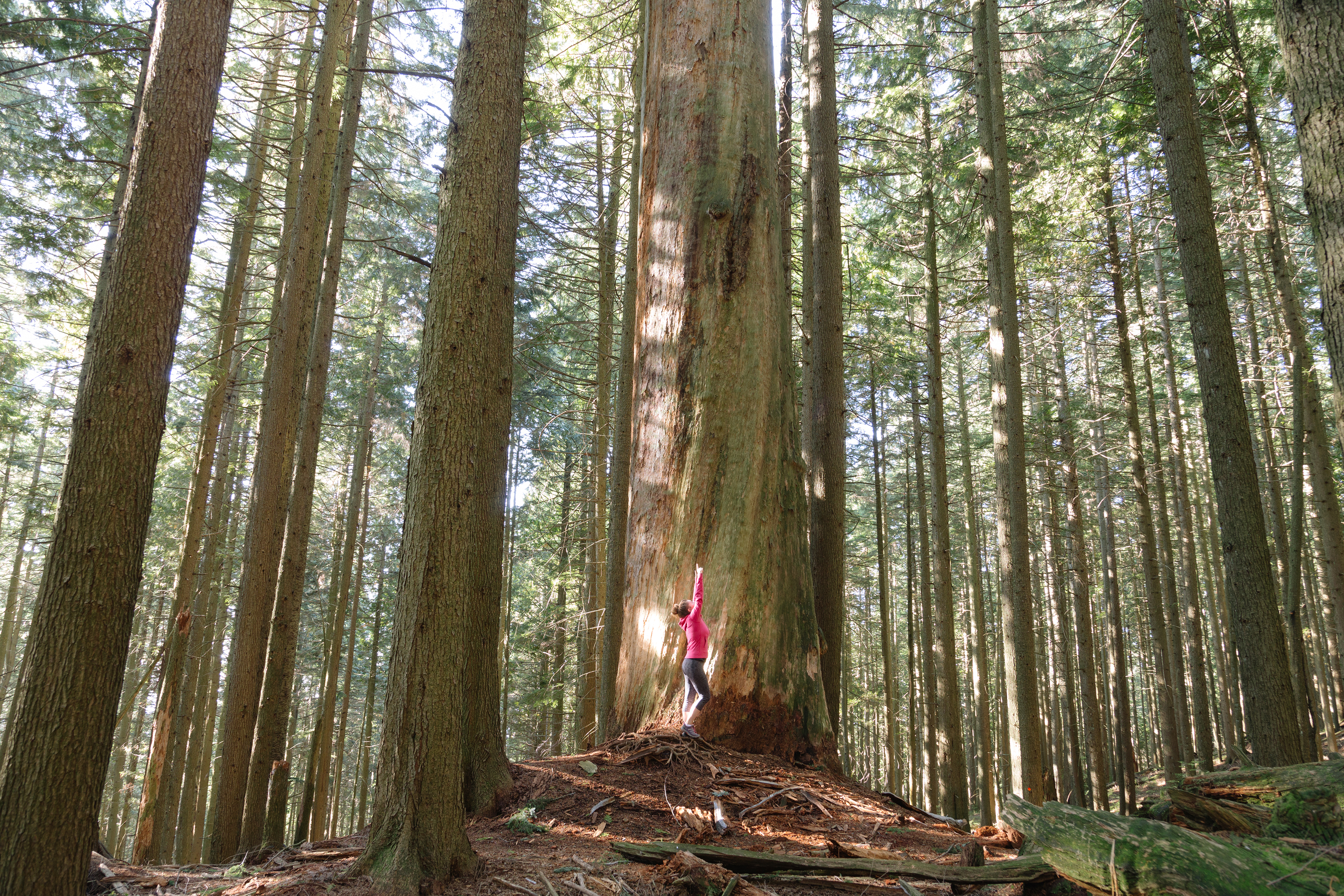 Hike Up Brothers Creek Loop