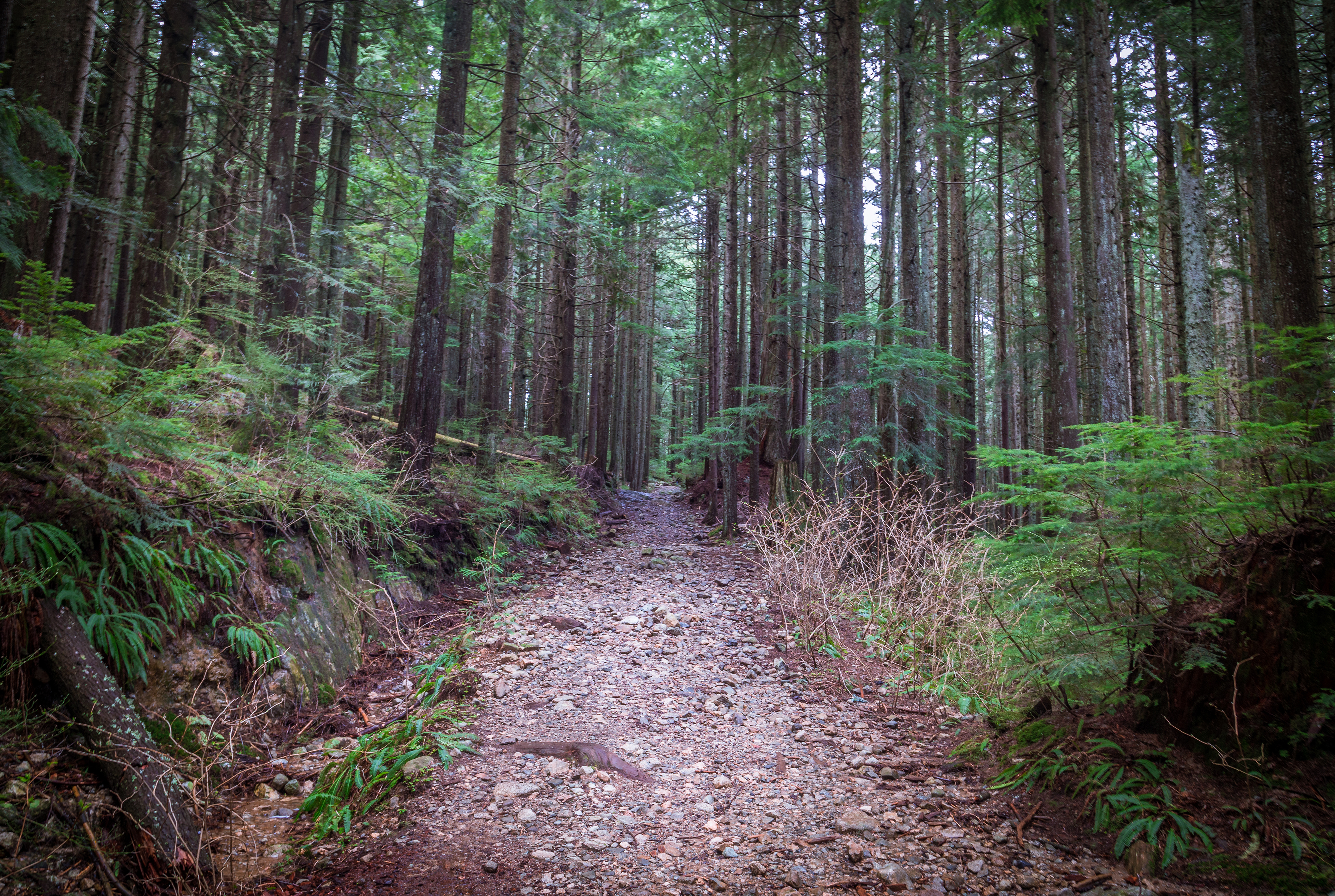 Hike Up Brothers Creek Loop