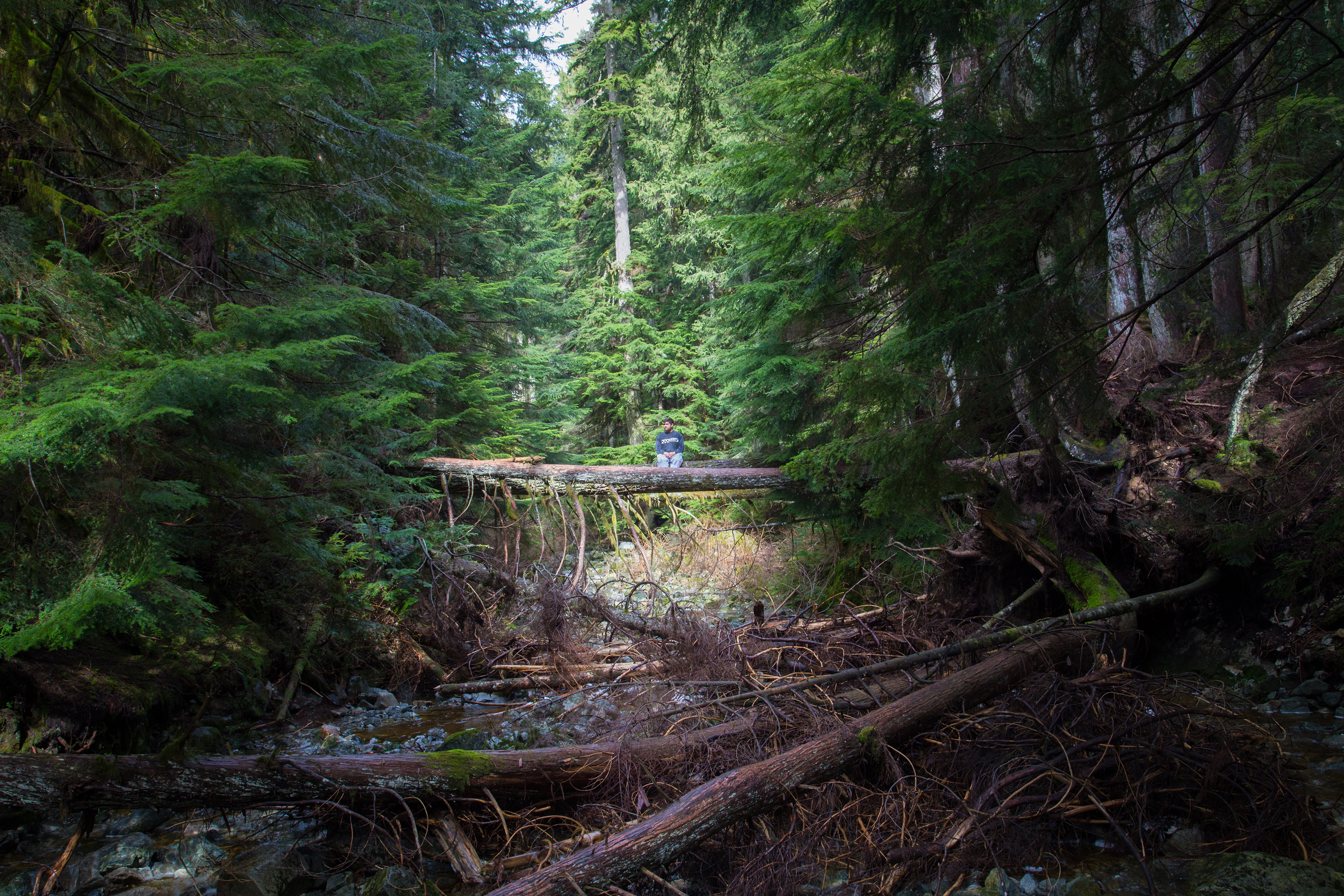 Hike Up Brothers Creek Loop