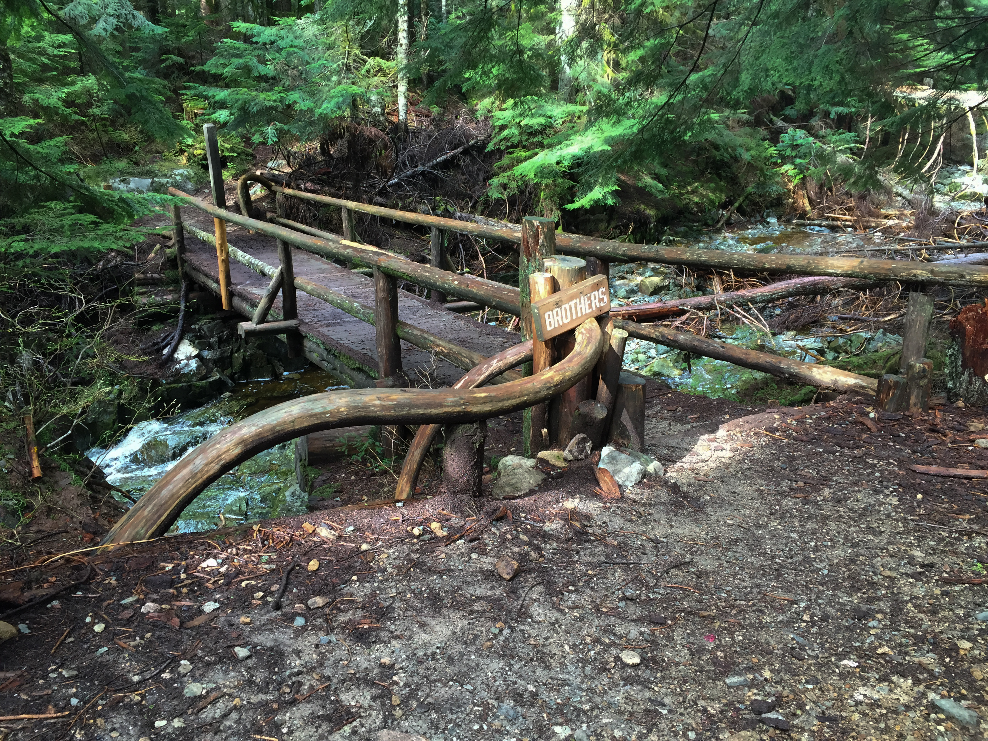 Hike Up Brothers Creek Loop