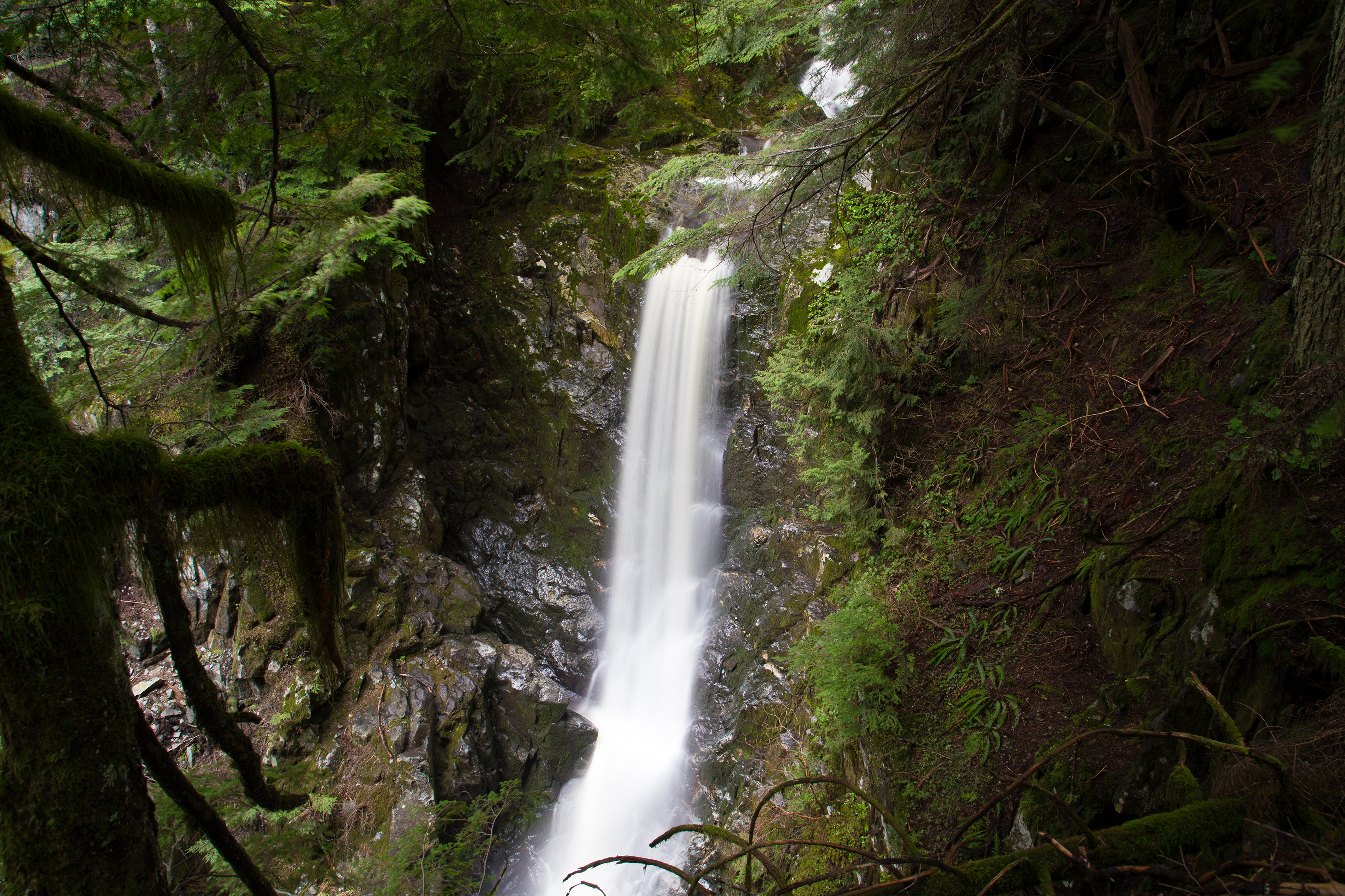 Hike Up Brothers Creek Loop