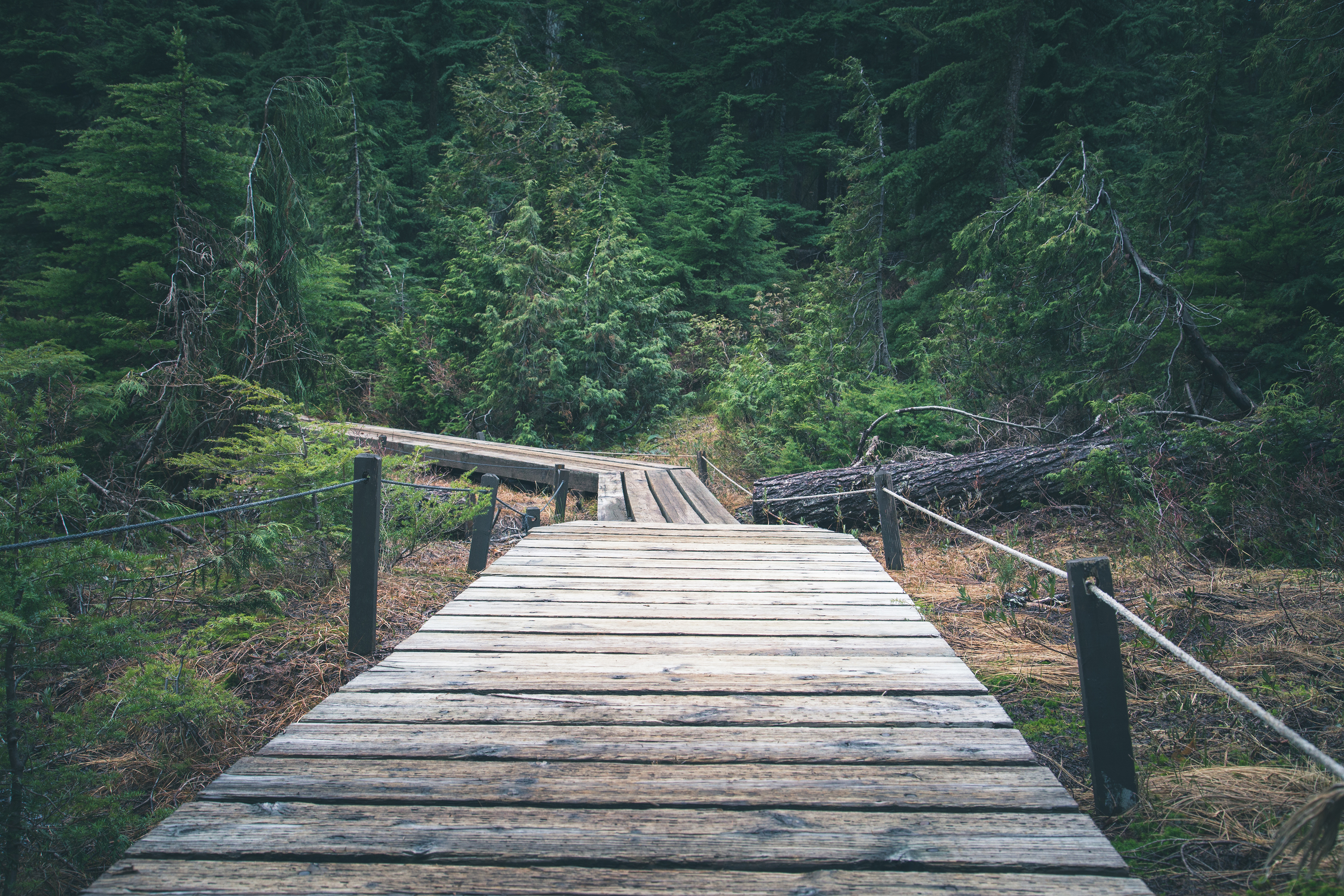 Hike Up Brothers Creek Loop