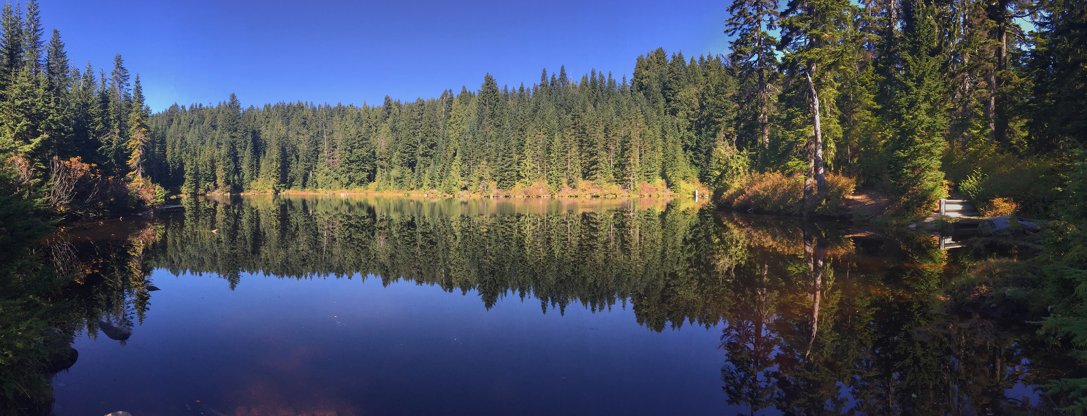 Hike Up Brothers Creek Loop