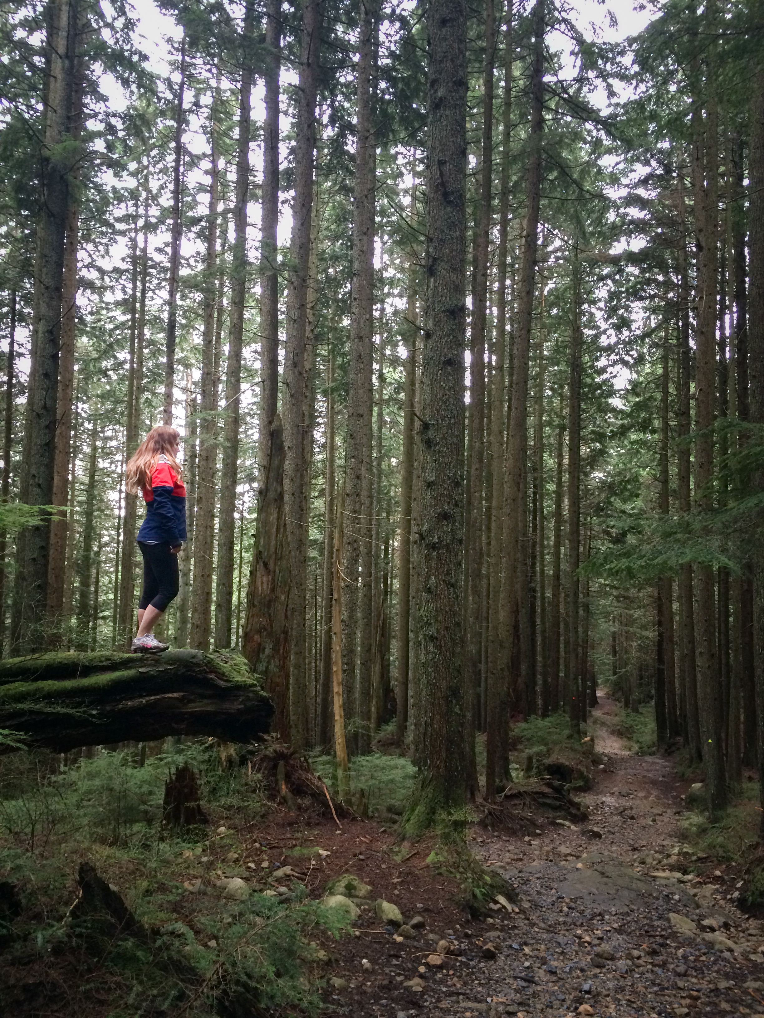 Hike Up Brothers Creek Loop