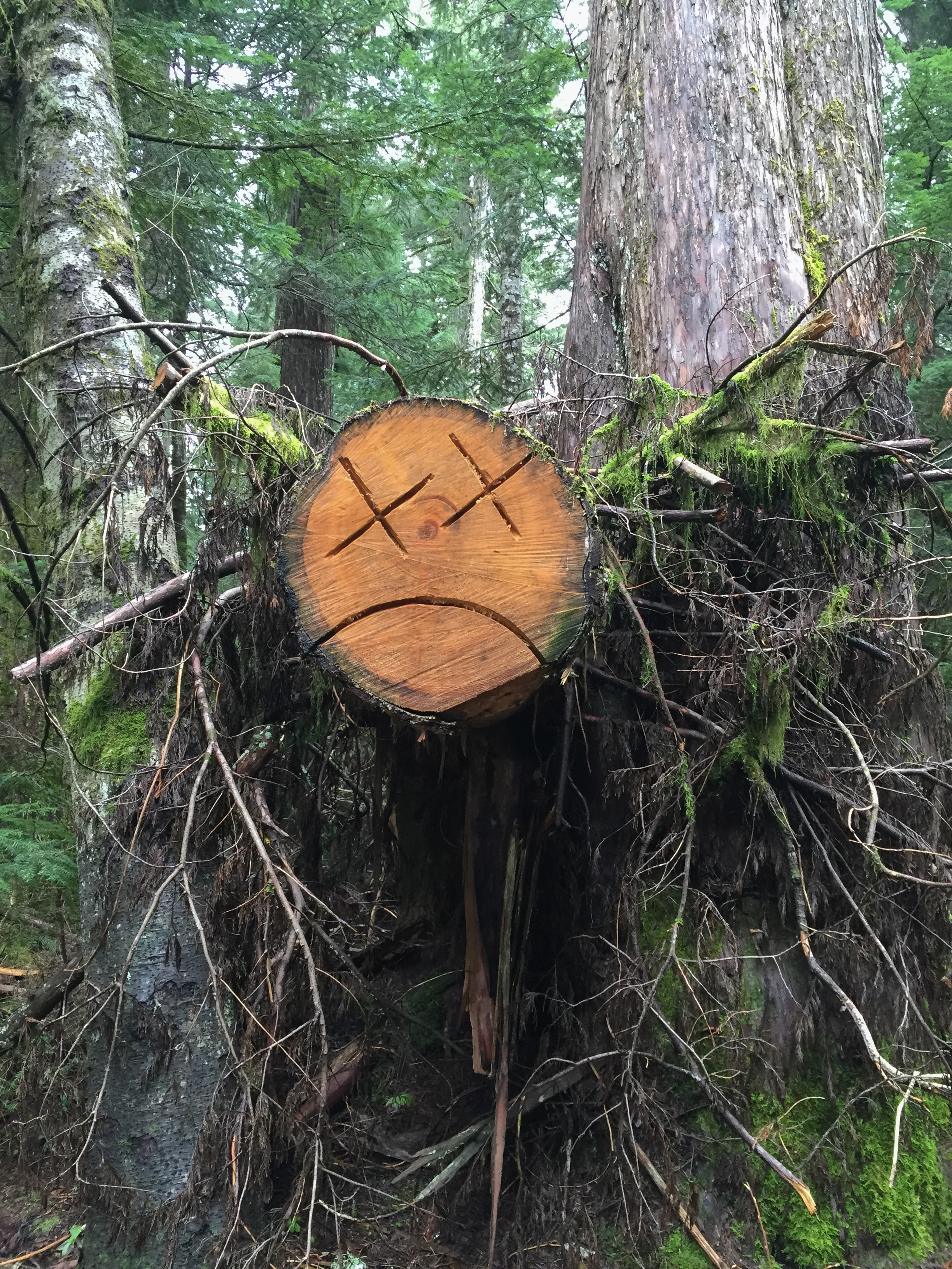 Hike Up Brothers Creek Loop