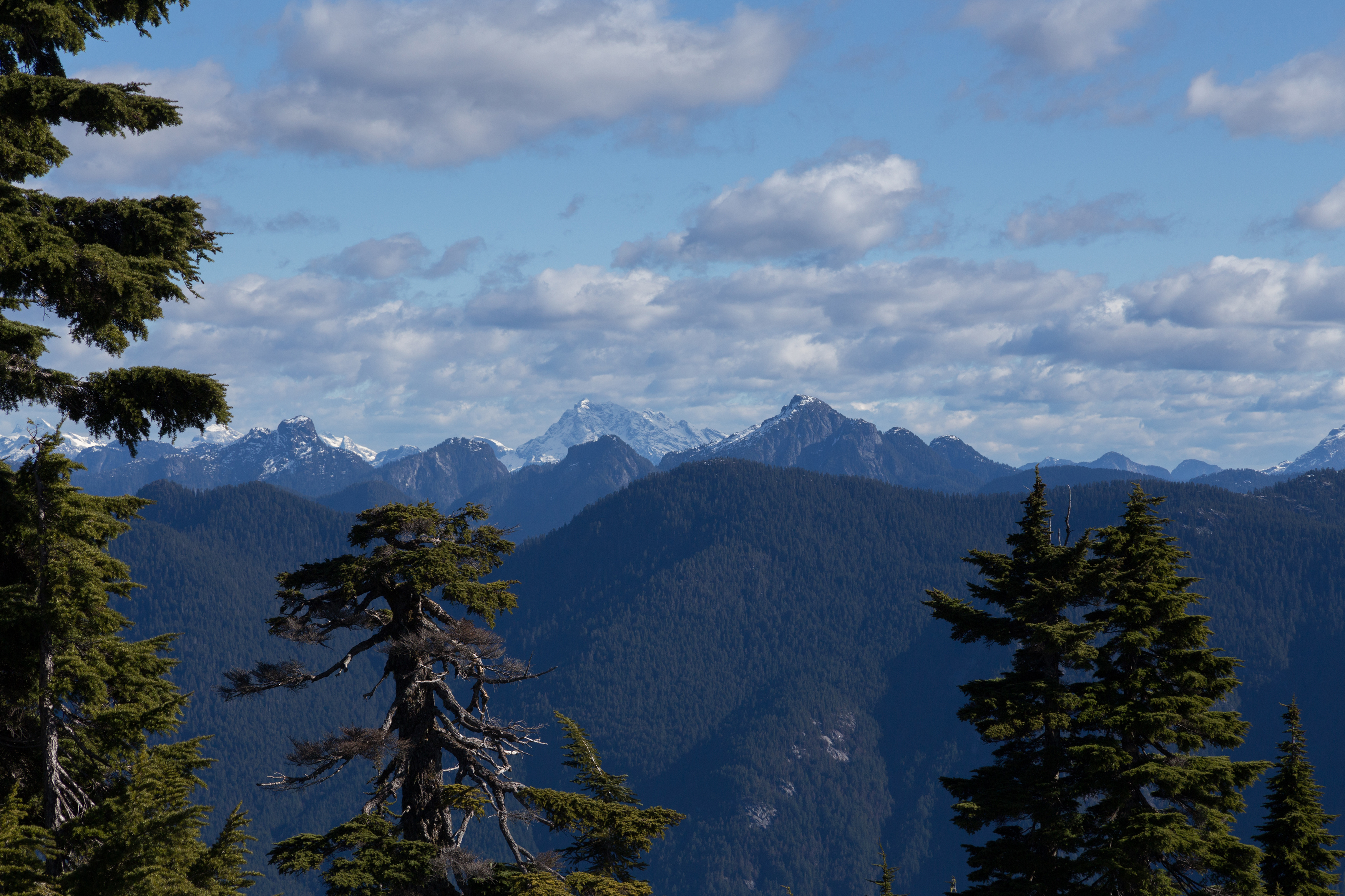 Hike Mount Seymour To First Peak North Vancouver British Columbia