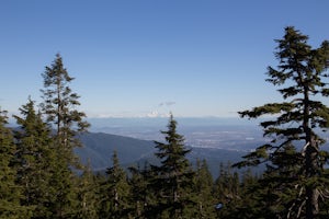 Hike Mount Seymour to First Peak