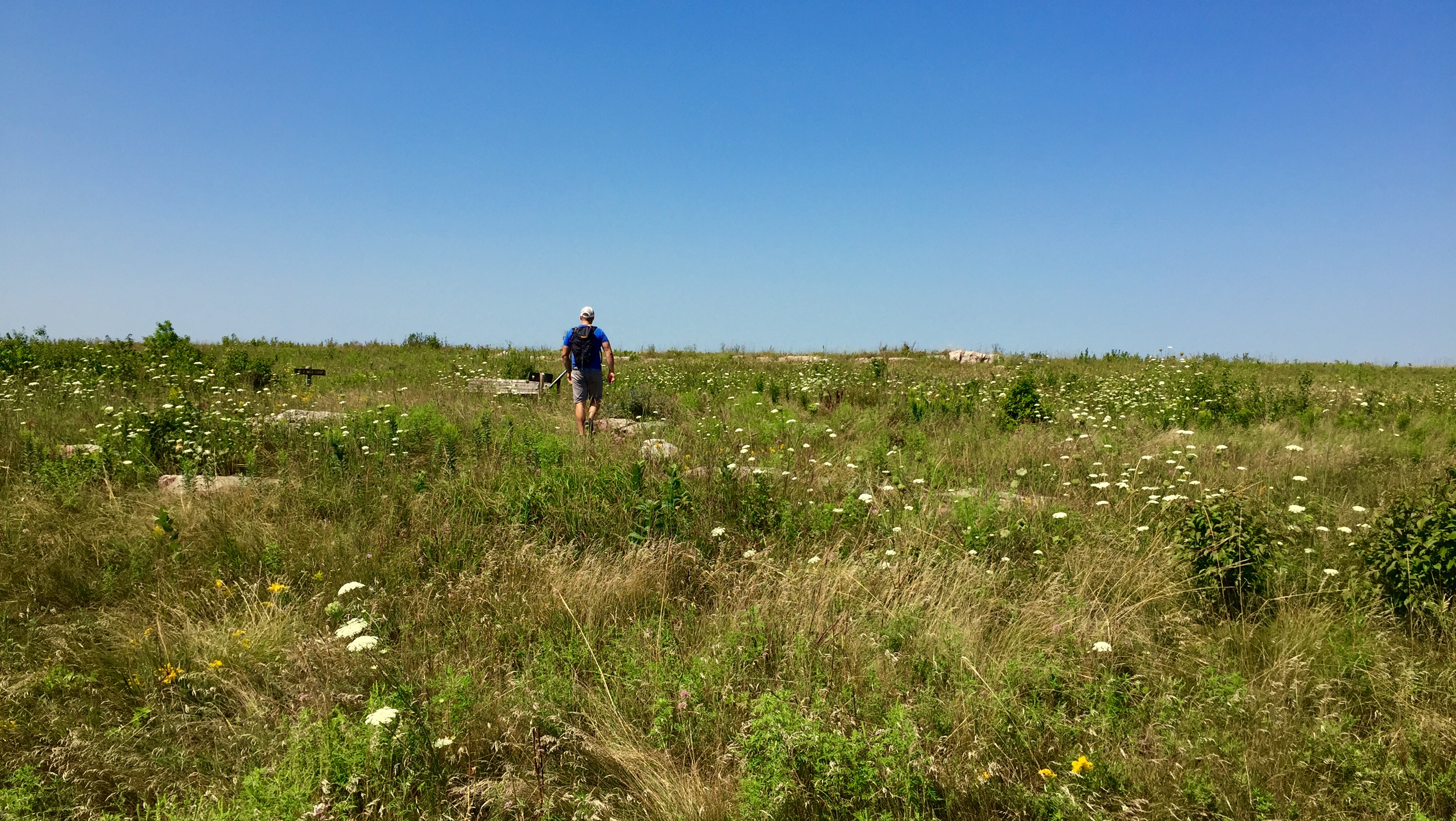 "The Mound" Loop