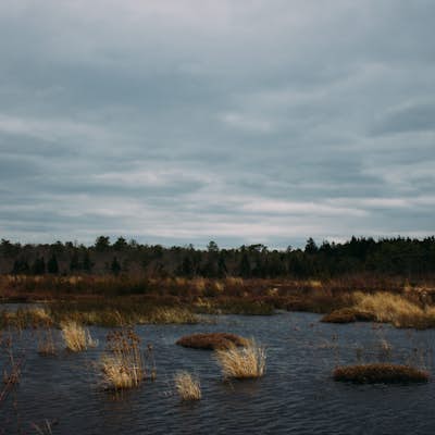 Stroll through the Cranberry Bogs at Double Trouble State Park