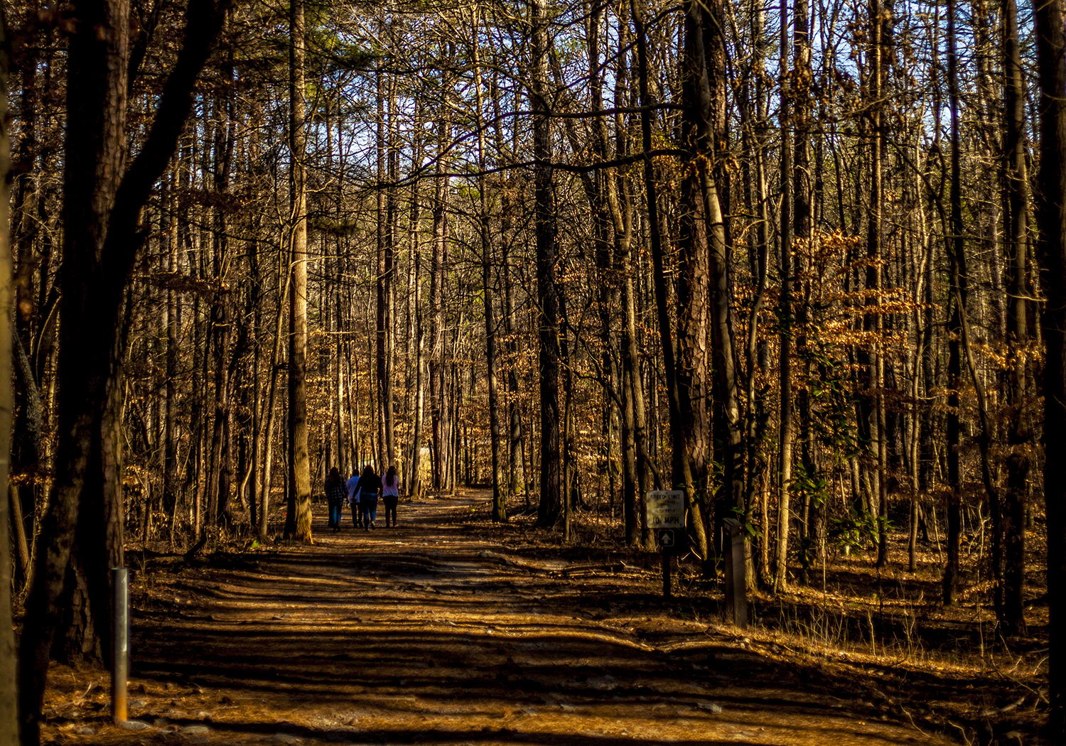 Sope Creek Loop