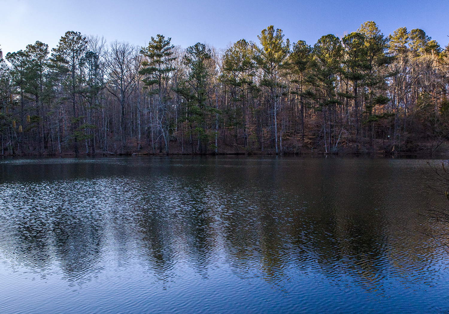 Sope Creek Loop