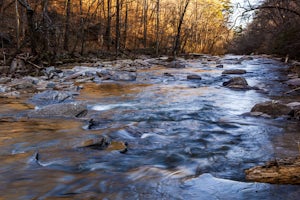 Hike Along Sope Creek