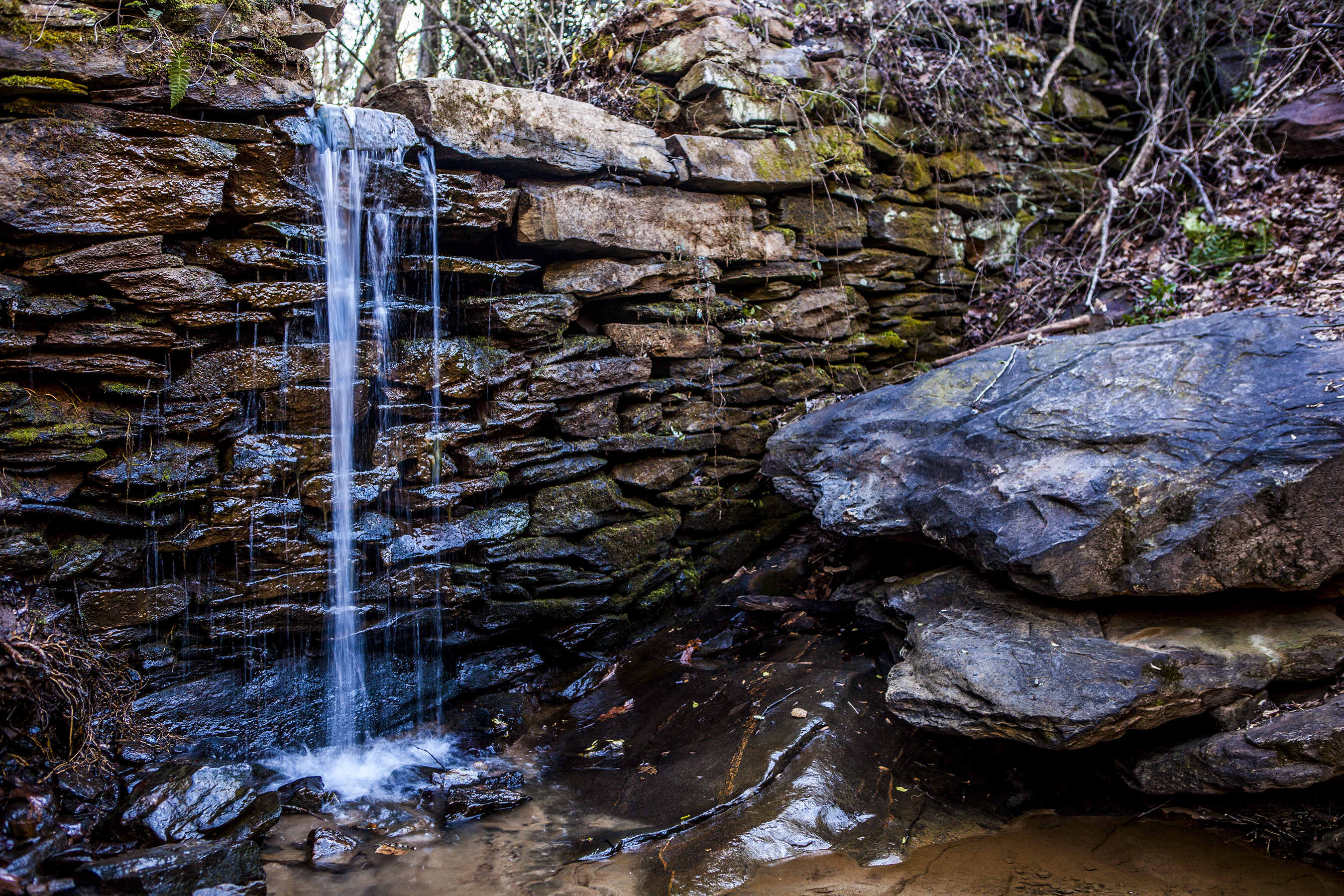 Sope Creek Loop