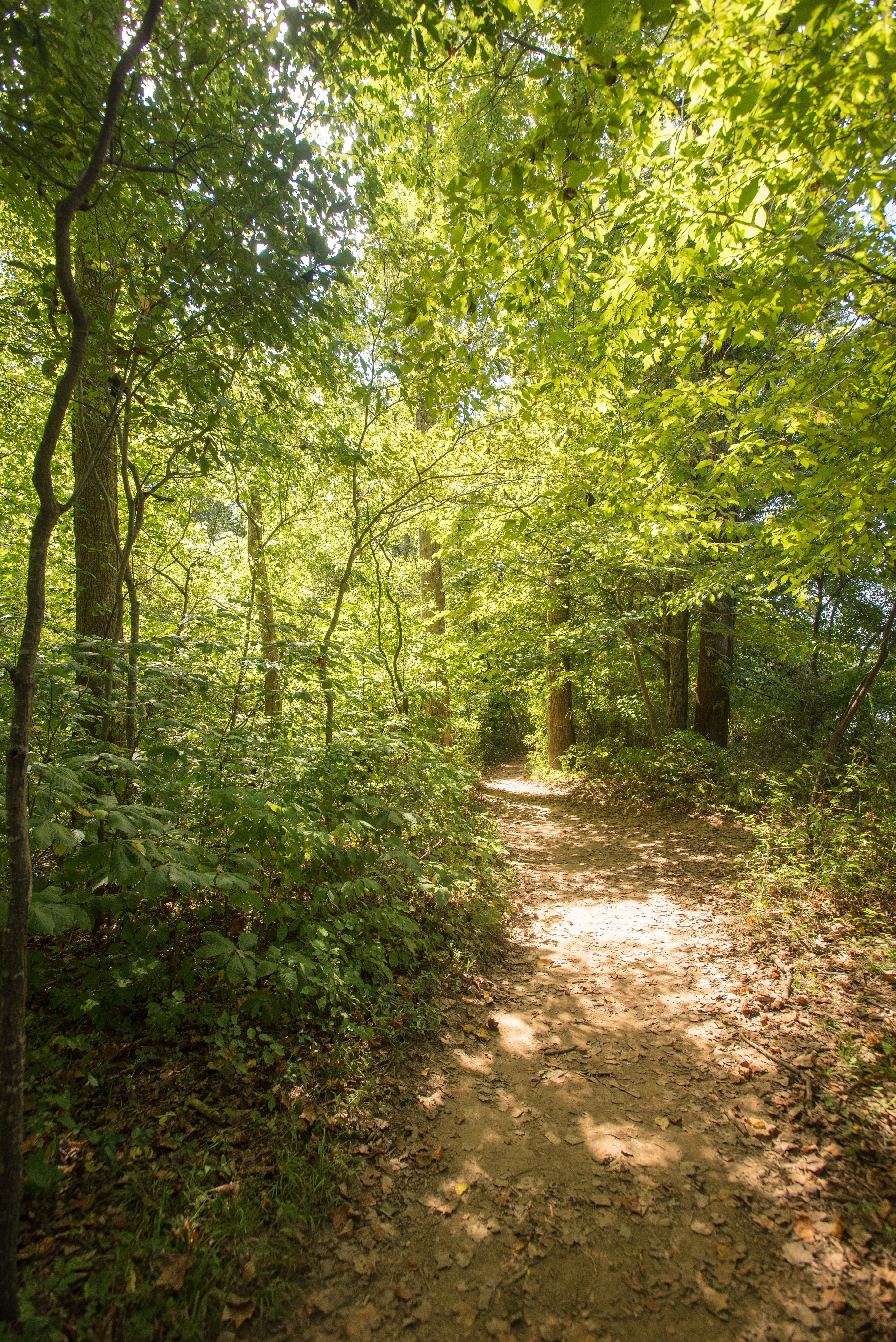 East Palisades Trail