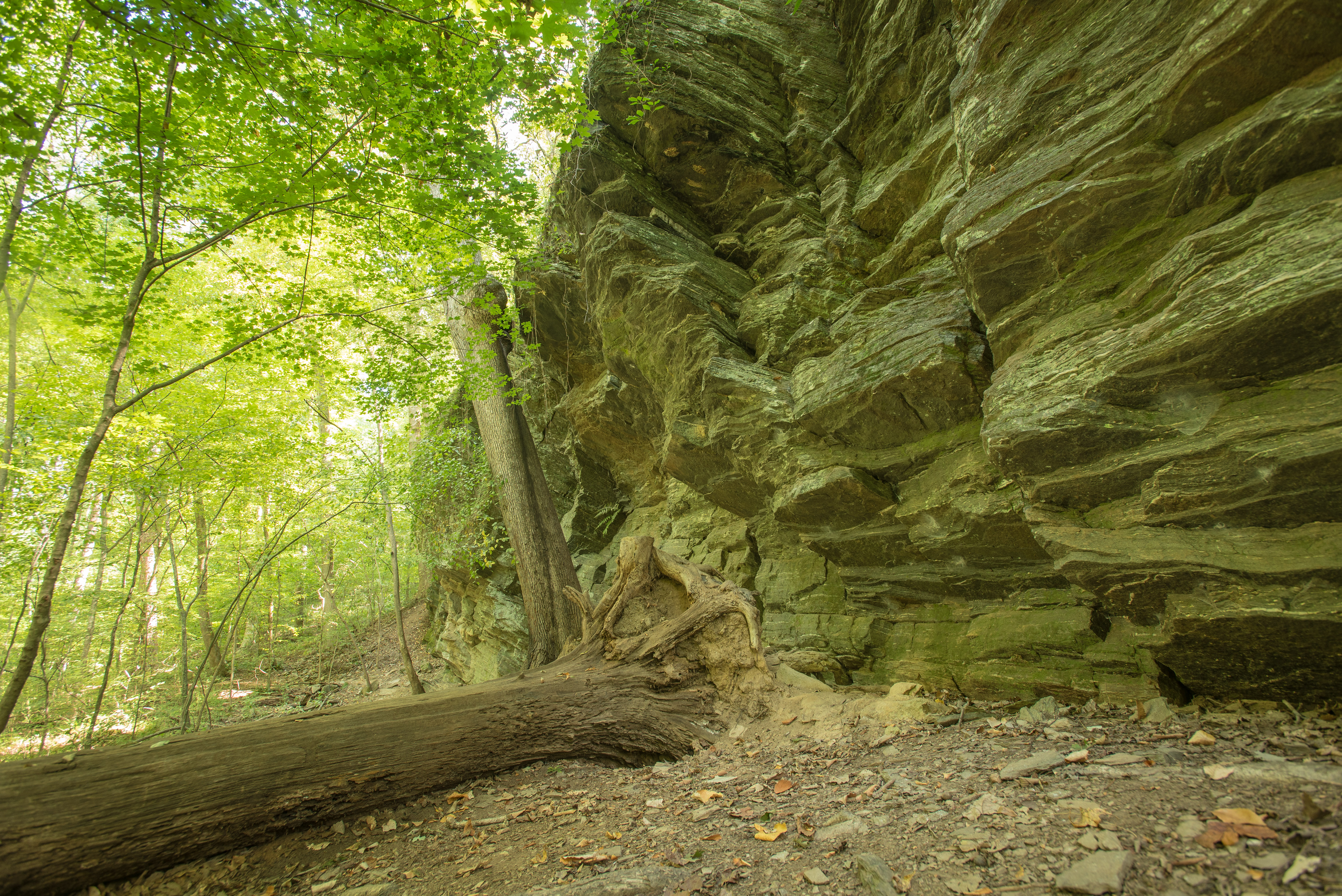 East Palisades Trail