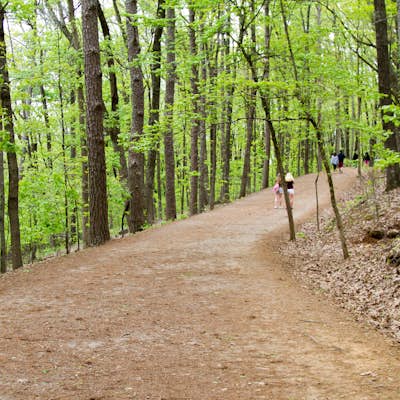 Hike the Battlefield and Mountain Loop