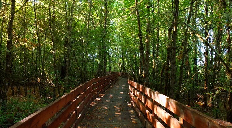 Explore the Finley Wildlife Refuge 