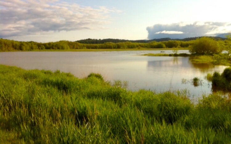 Explore the Finley Wildlife Refuge 