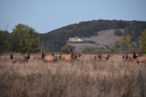 Explore the Finley Wildlife Refuge 