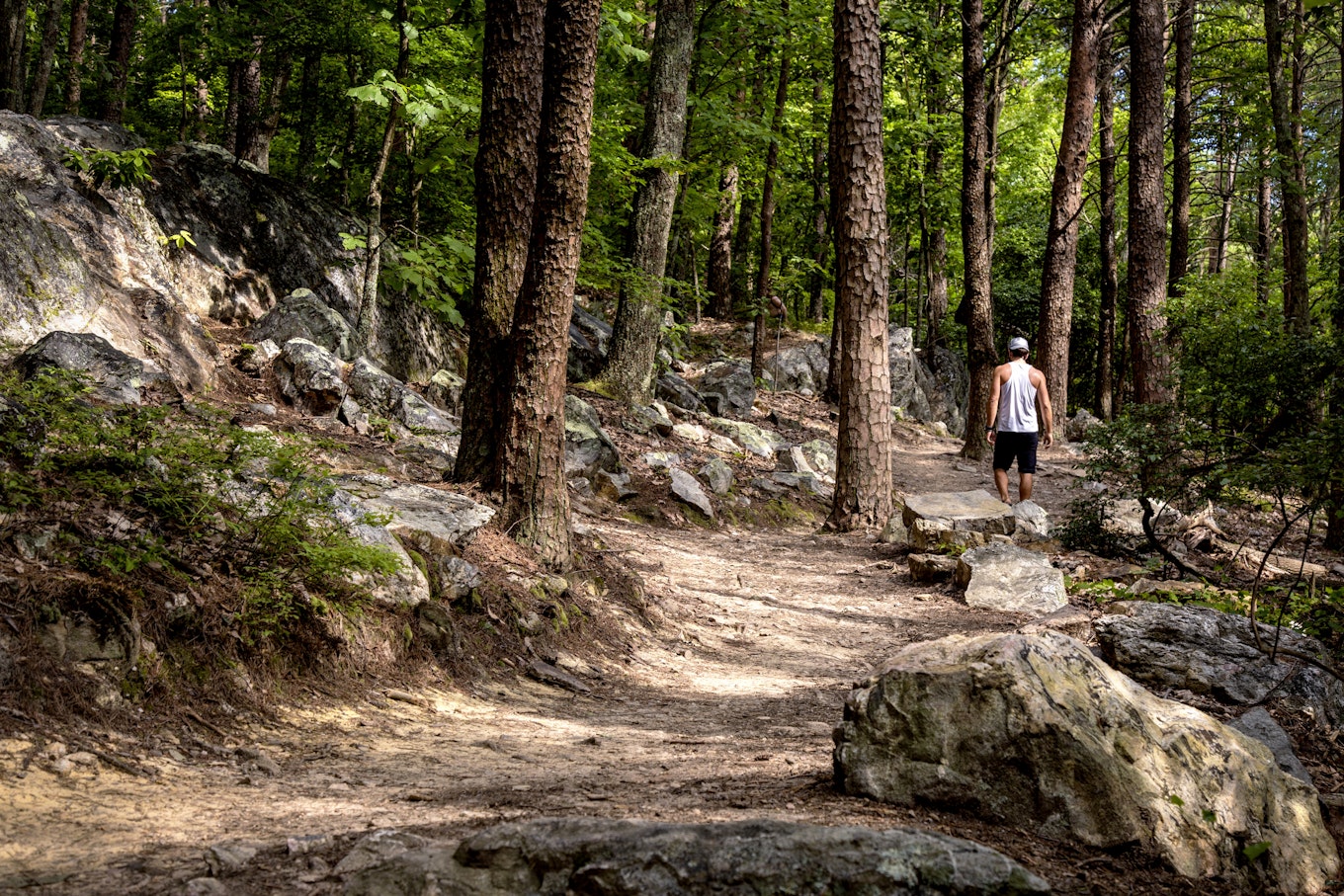 Pine Mountain Loop