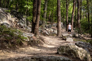 Hike Pine Mountain