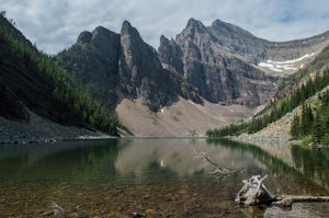 Mount Niblock