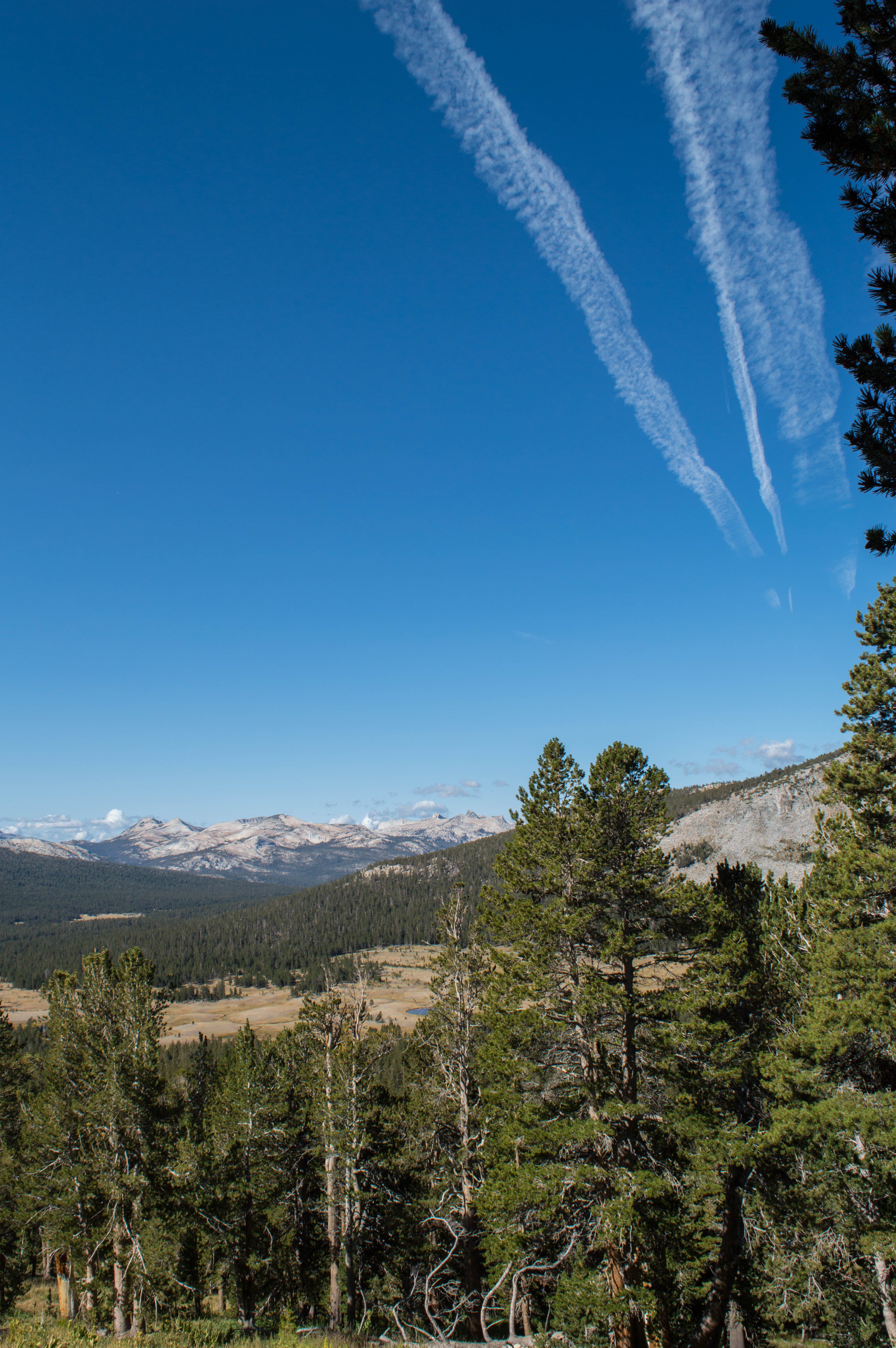 Hike up Mount Dana, Twain HarteTuolumne City, California