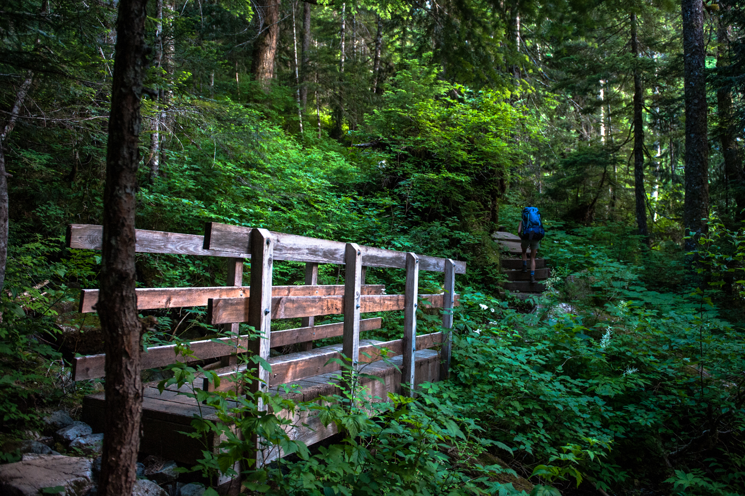 Hike to Baby Bedwell & Bedwell Lake