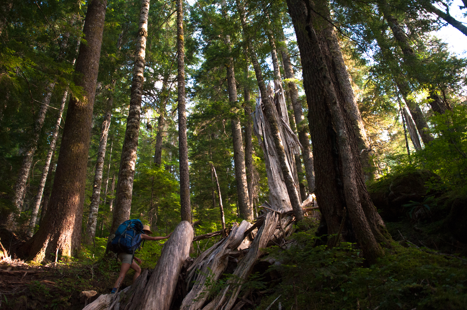 Hike to Baby Bedwell & Bedwell Lake