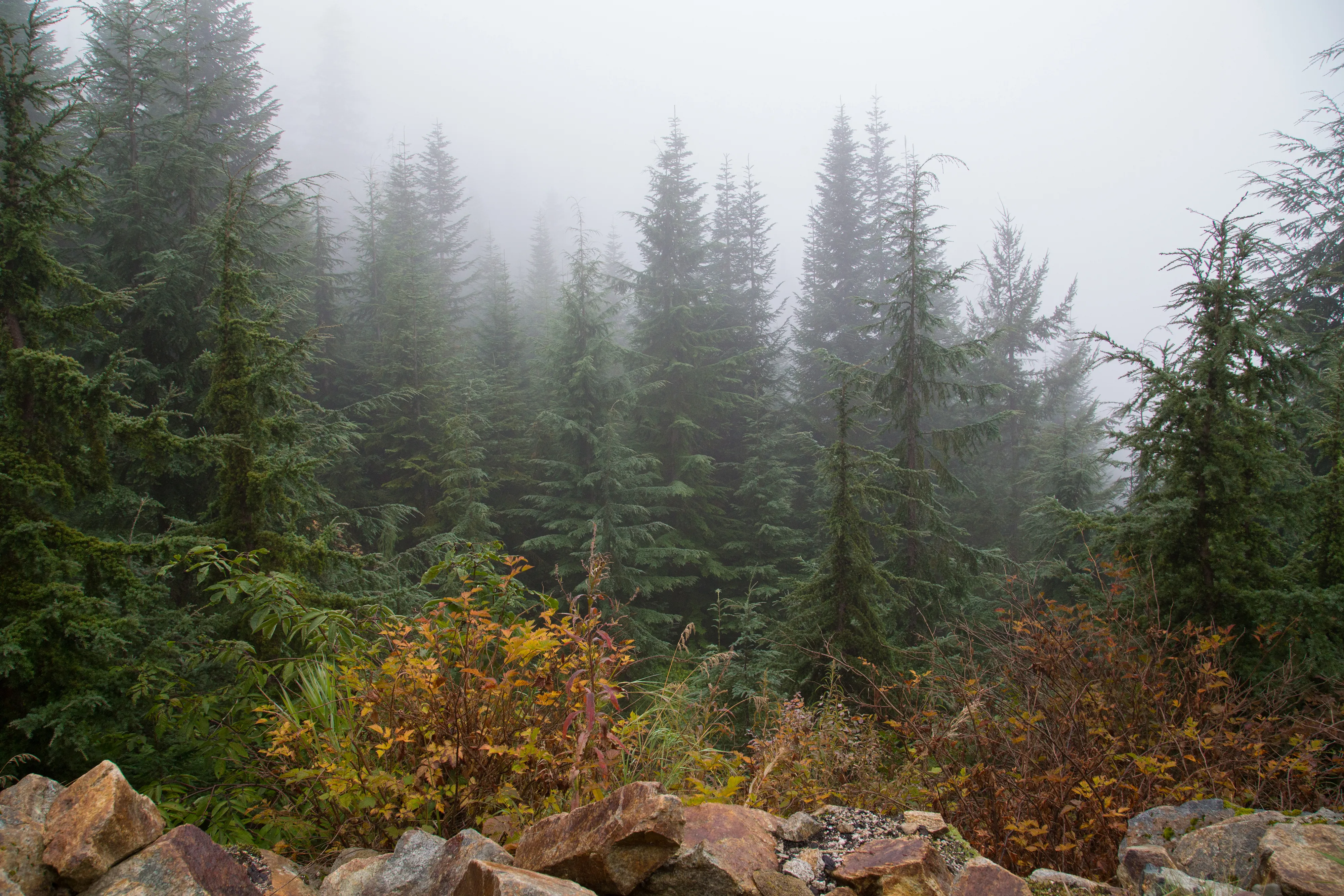 Hike to Eagles Bluff 