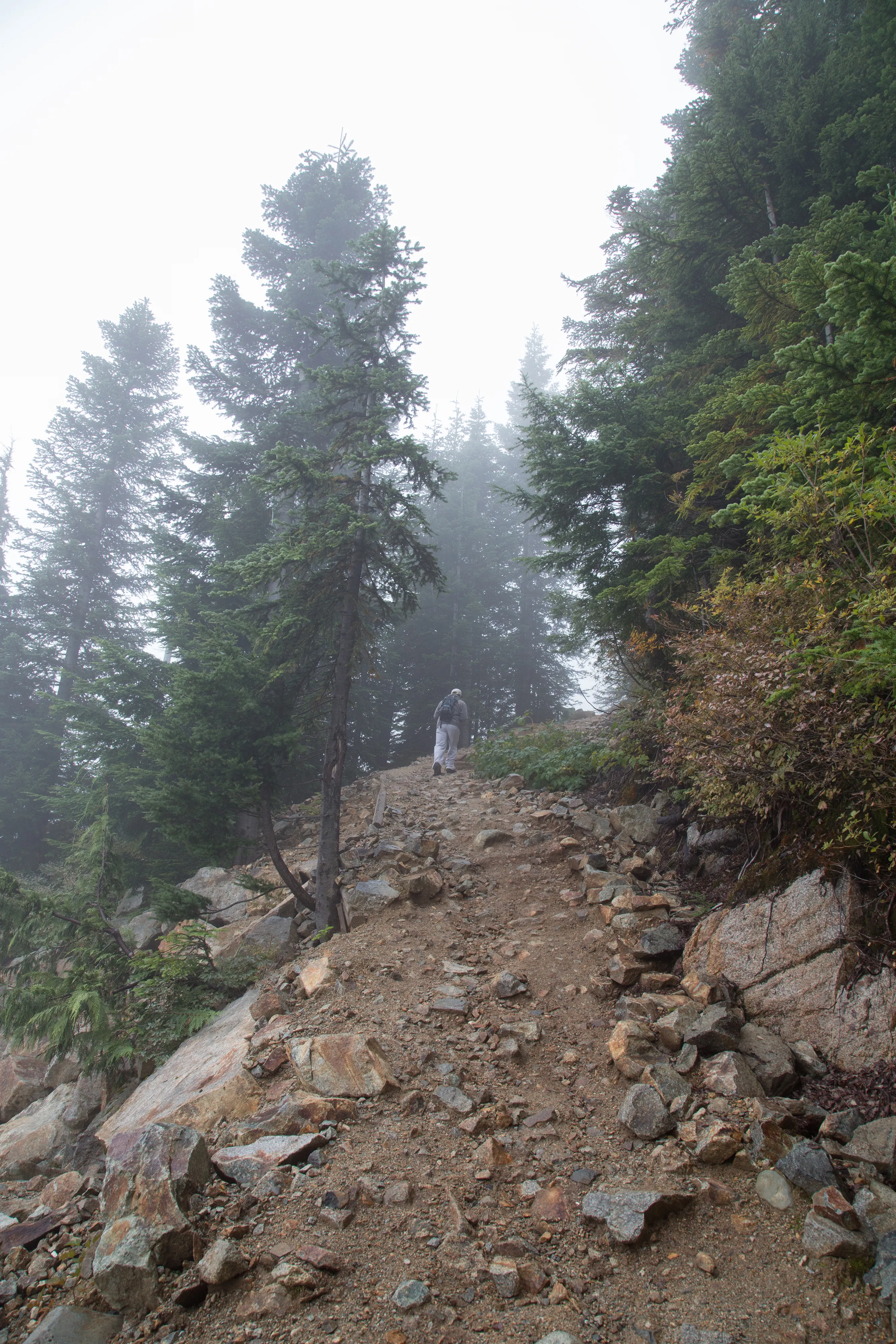 Hike to Eagles Bluff 