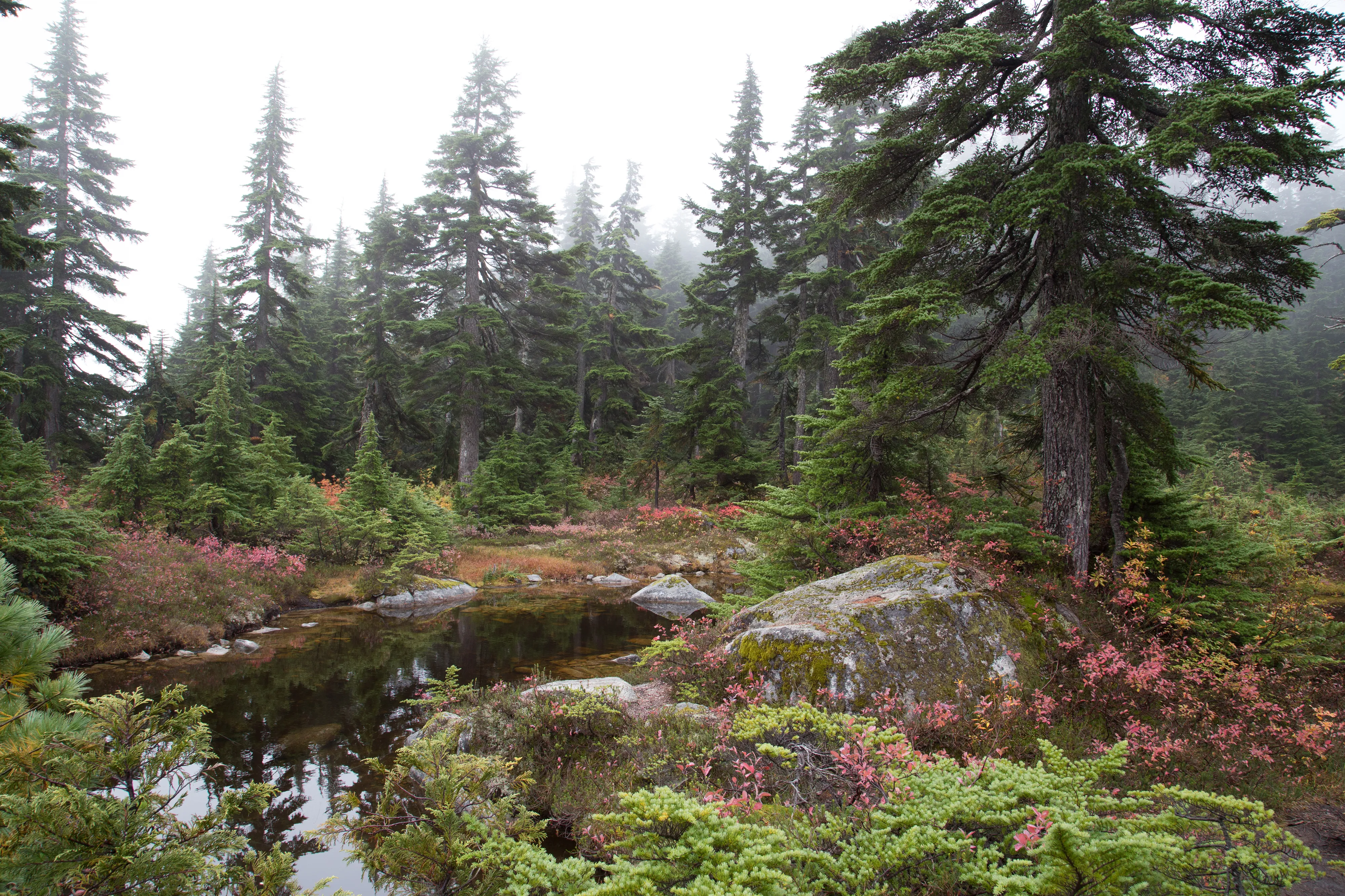 Hike to Eagles Bluff 