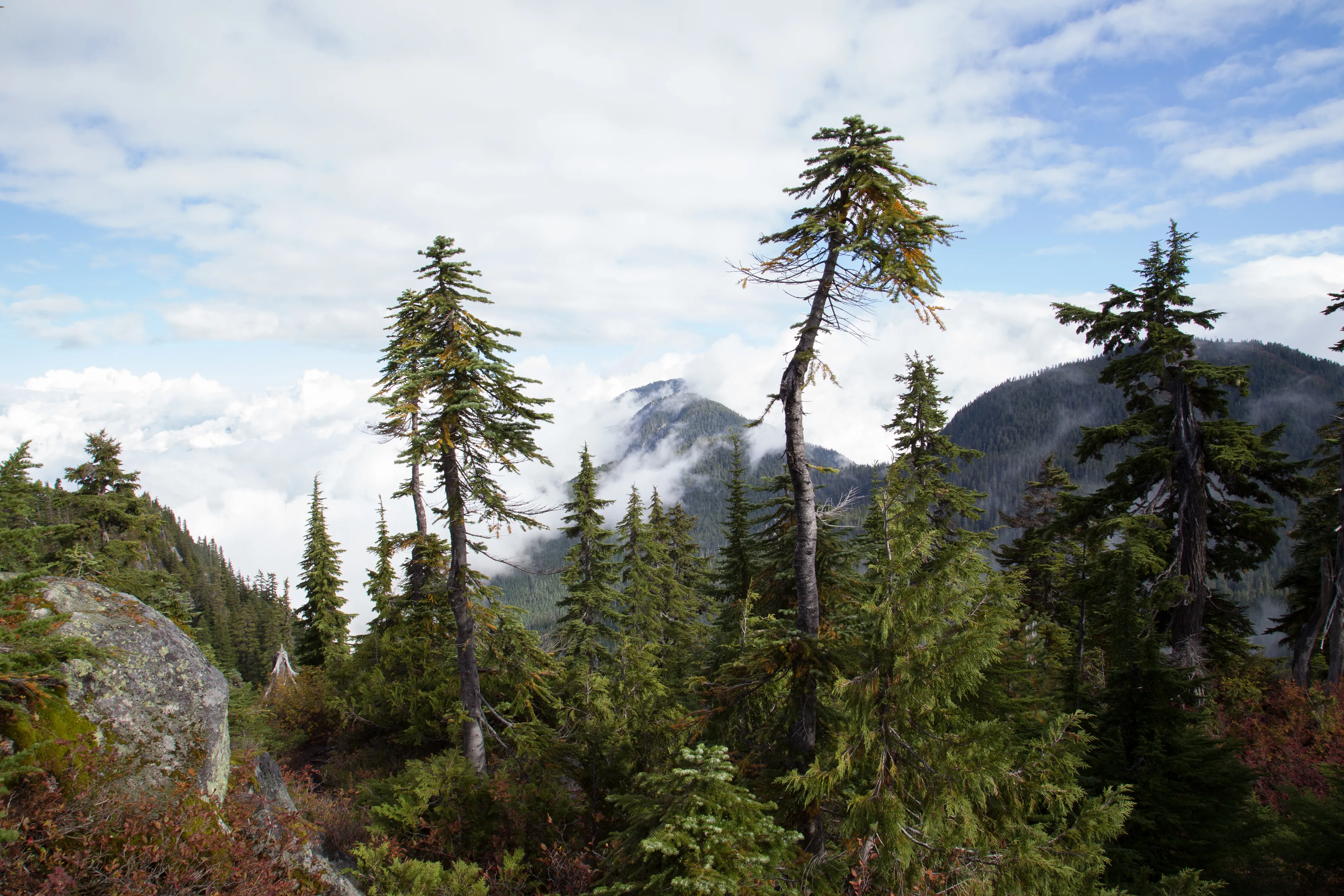 Hike to Eagles Bluff 